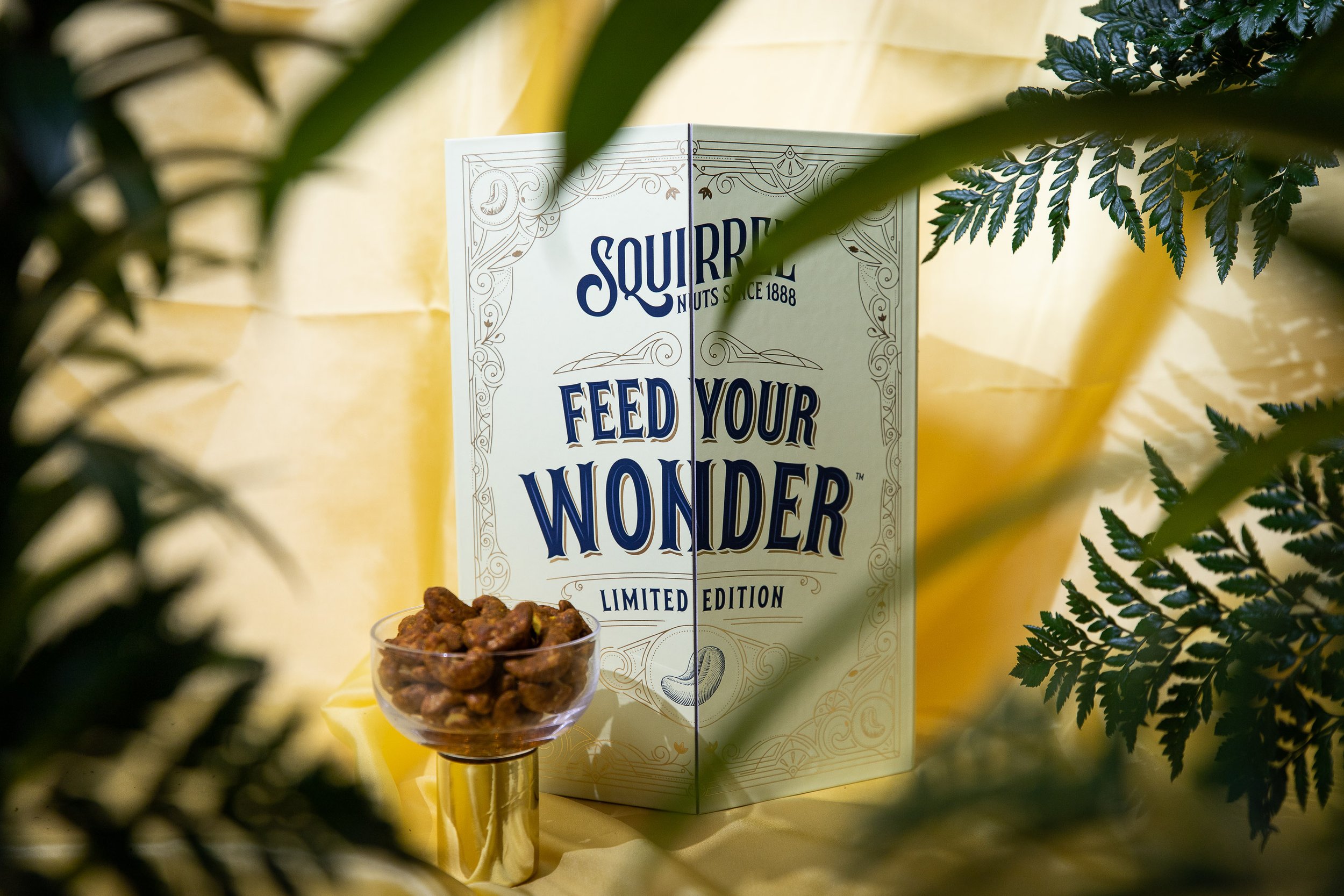 Feed your wonder