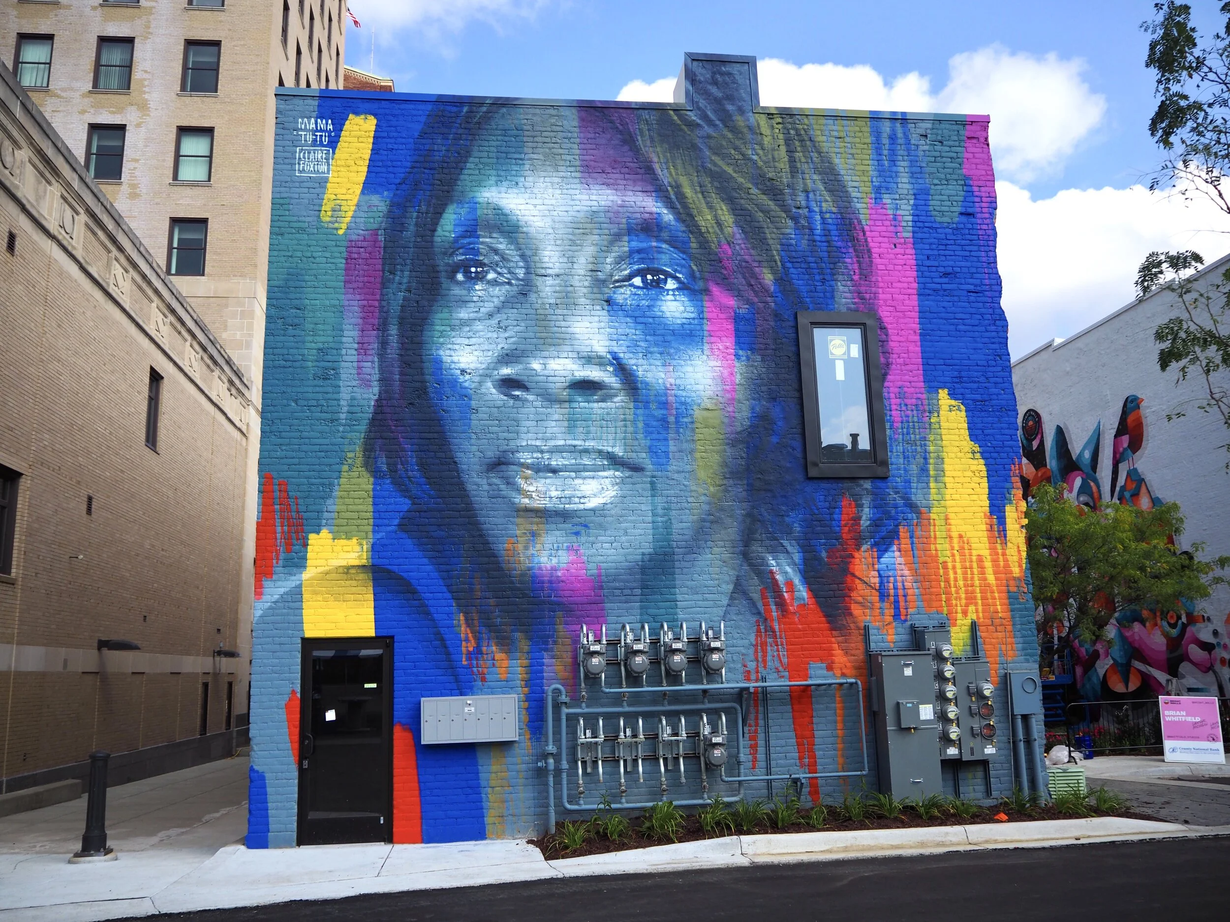 Bright Walls, Jackson Michigan