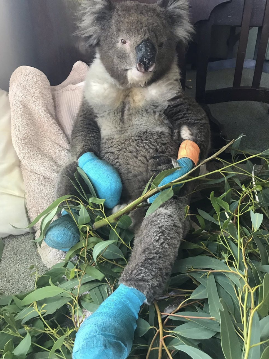 Screen Shot 2020-01-15 at 6.02.46 pm.png