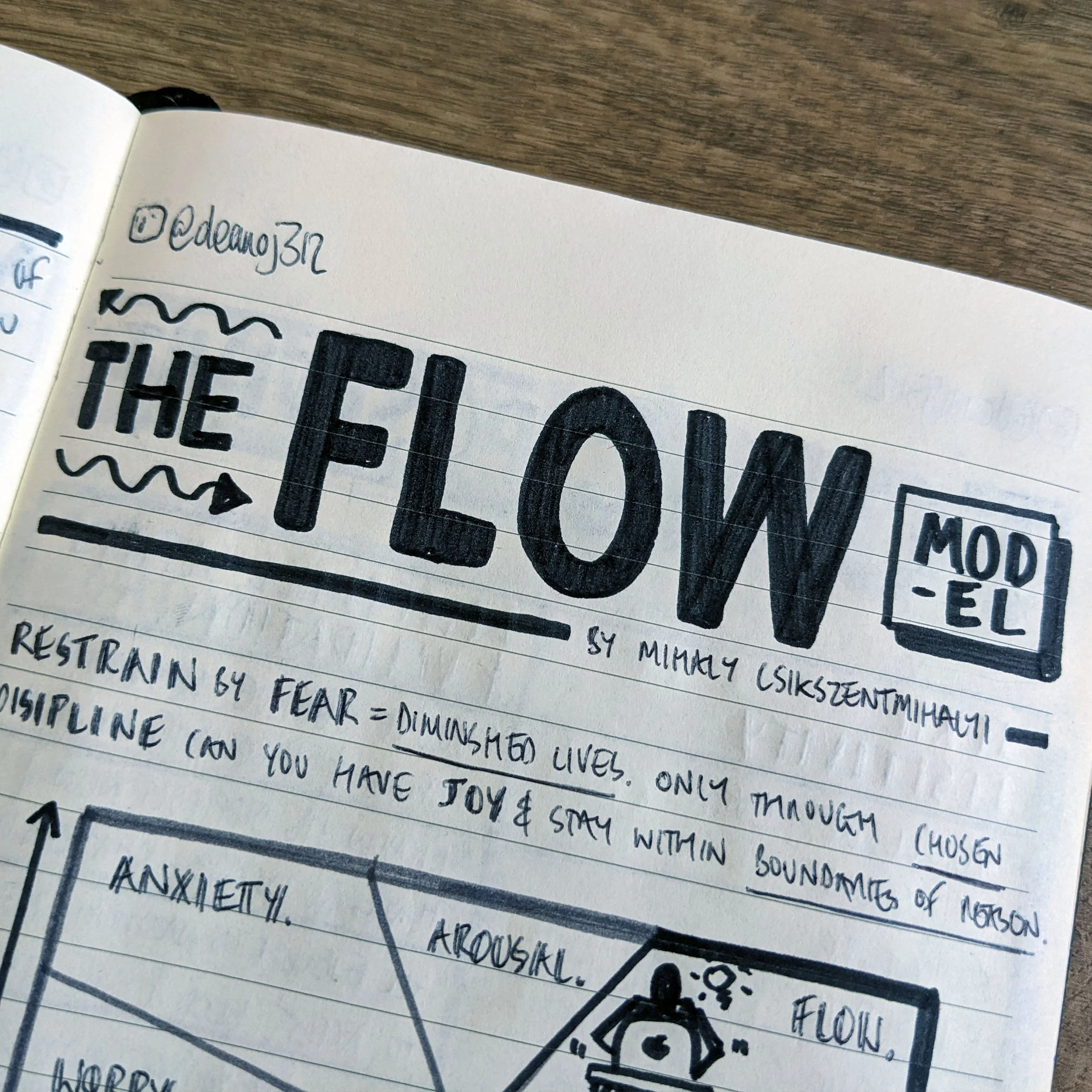 TheFlowModel2.jpg