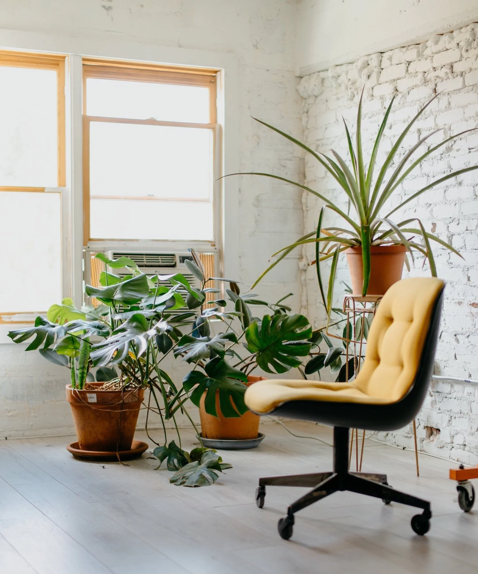 The Rise of the Home Office 