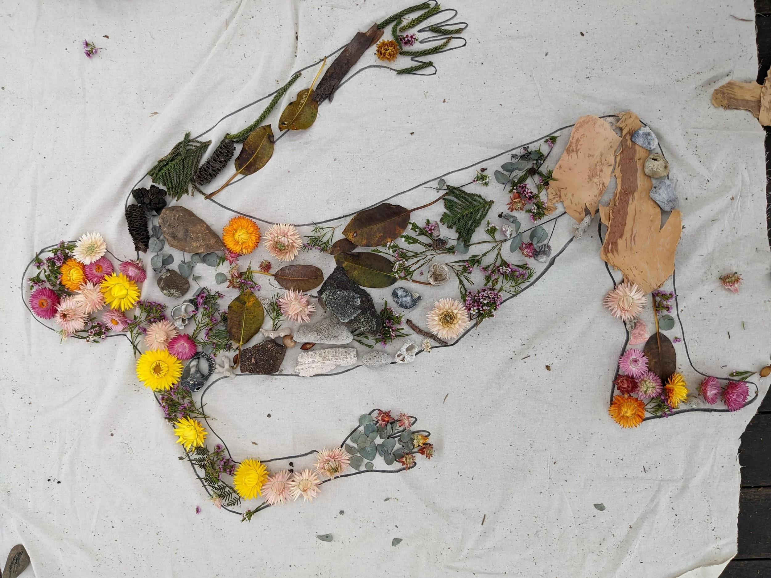 Body mapping nature workshop 1, Randwick.jpg