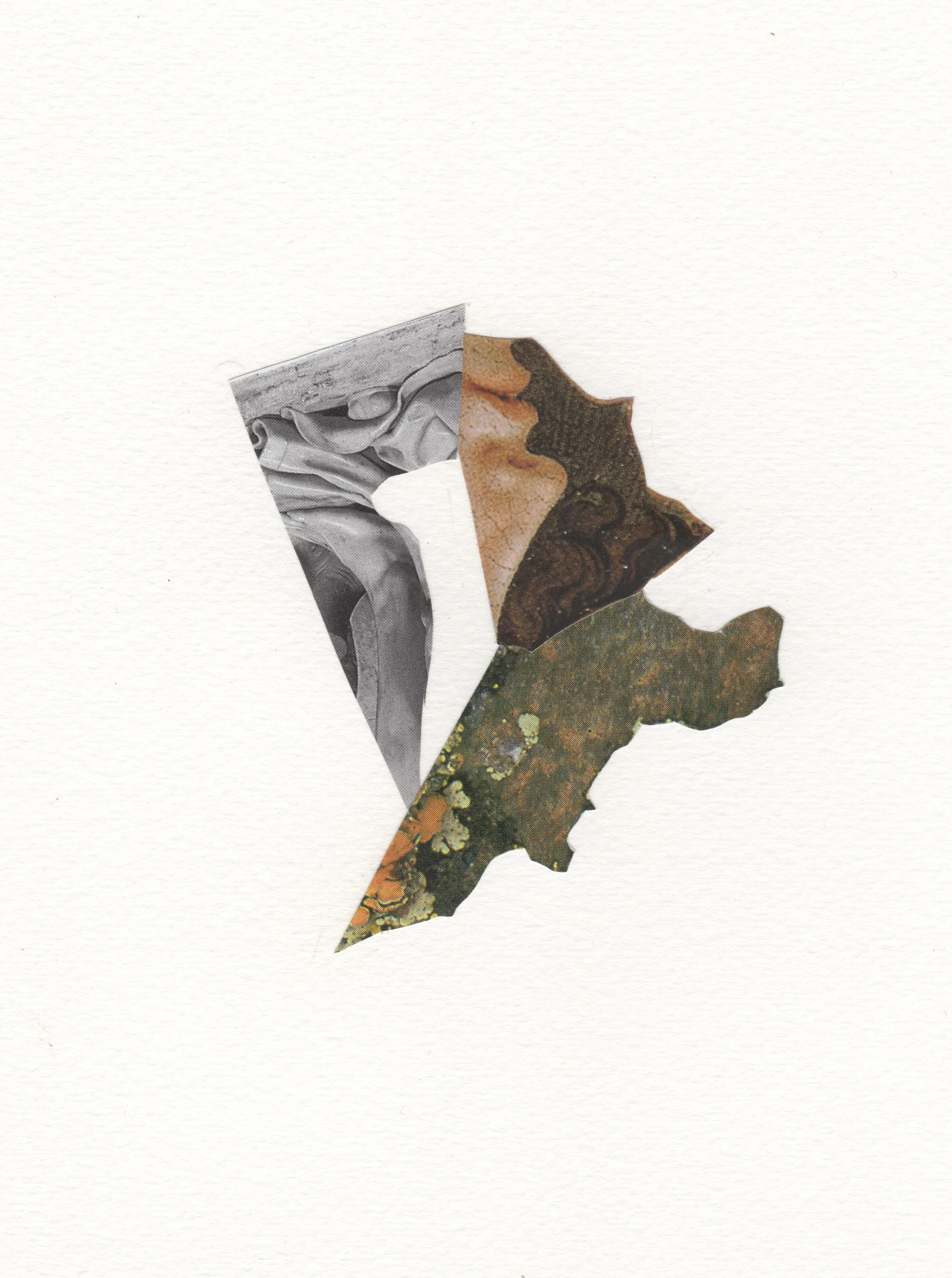 collage 23.jpeg