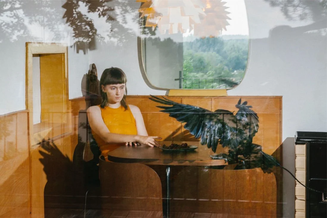 Norwegian-Irish artist Tara Nome Doyle previews her forthcoming new album ‘Værmin’ with the sweeping new single 'Crow', out December 7th