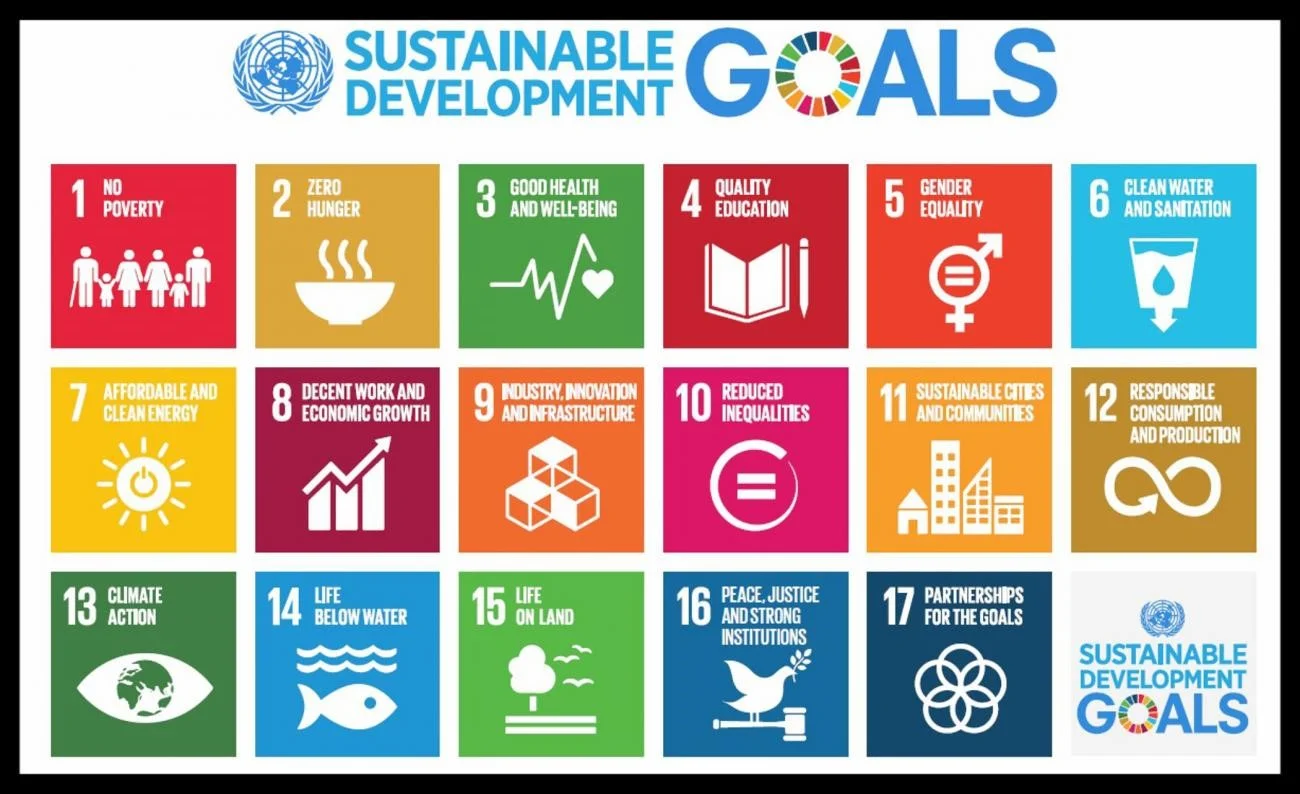 SKIP_SDGs.jpg