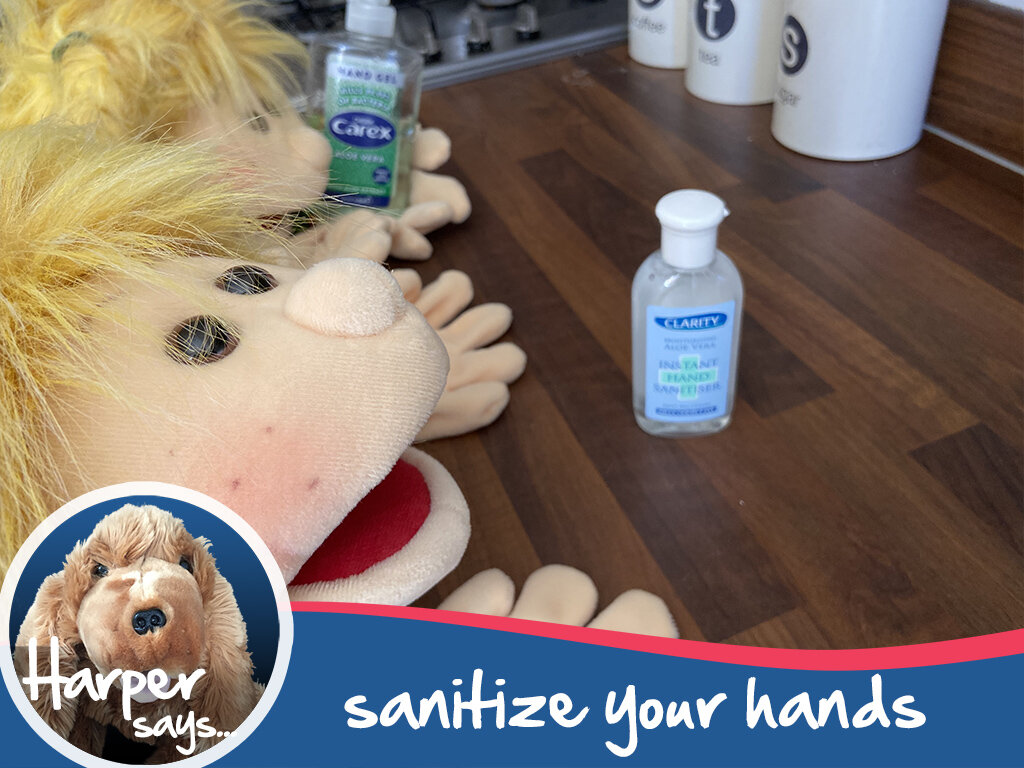 6. sanitize your hands.jpg