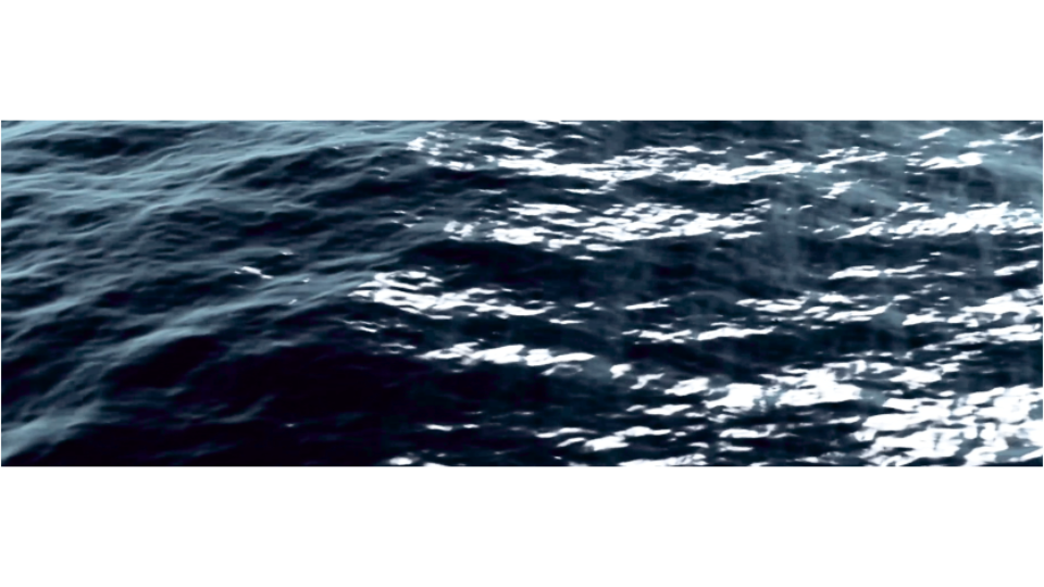 אם נדע לאהוב (1) (0-00-42-41).png