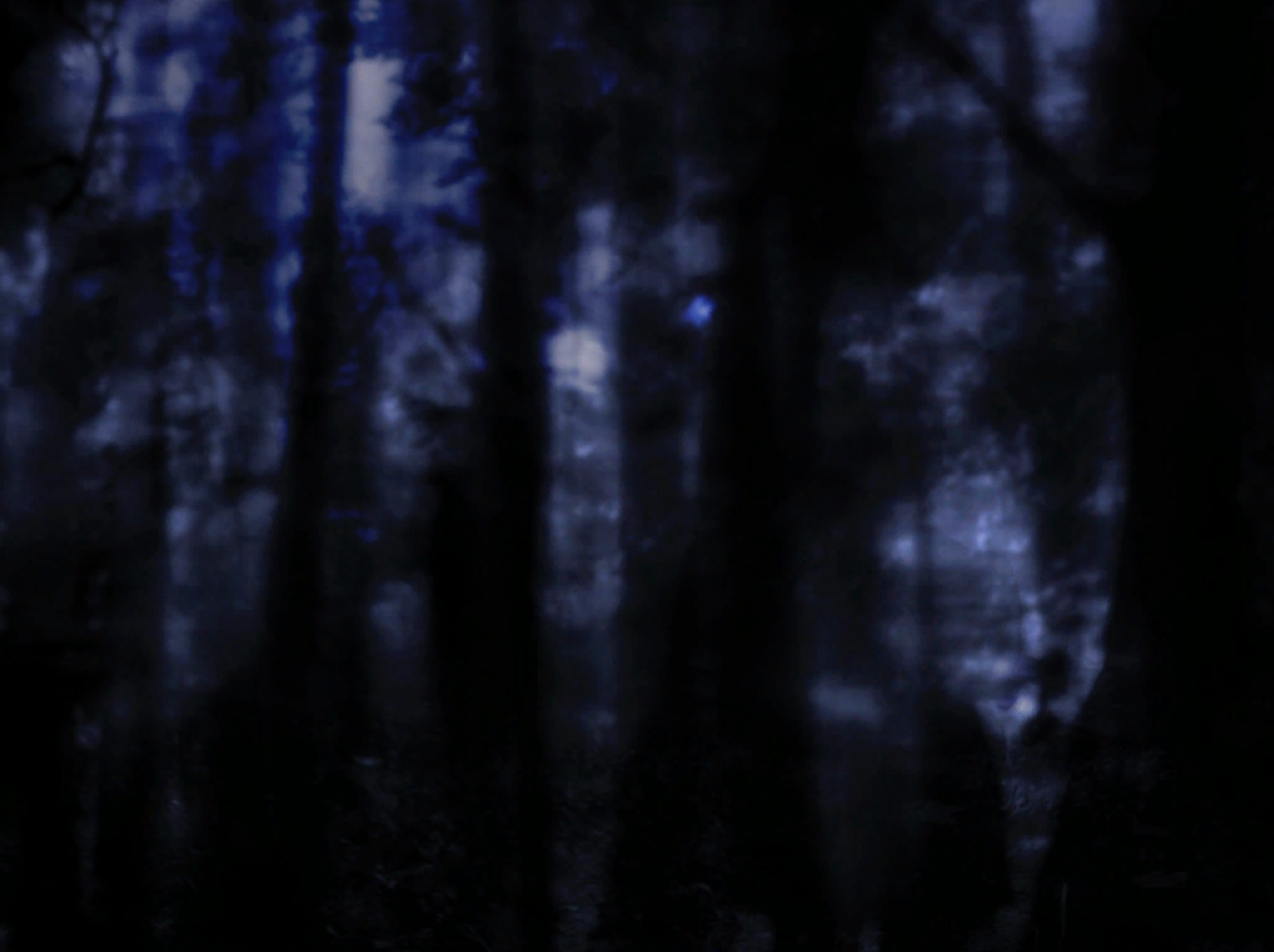 Screen Shot 2018-02-03 at 20.46.04.png