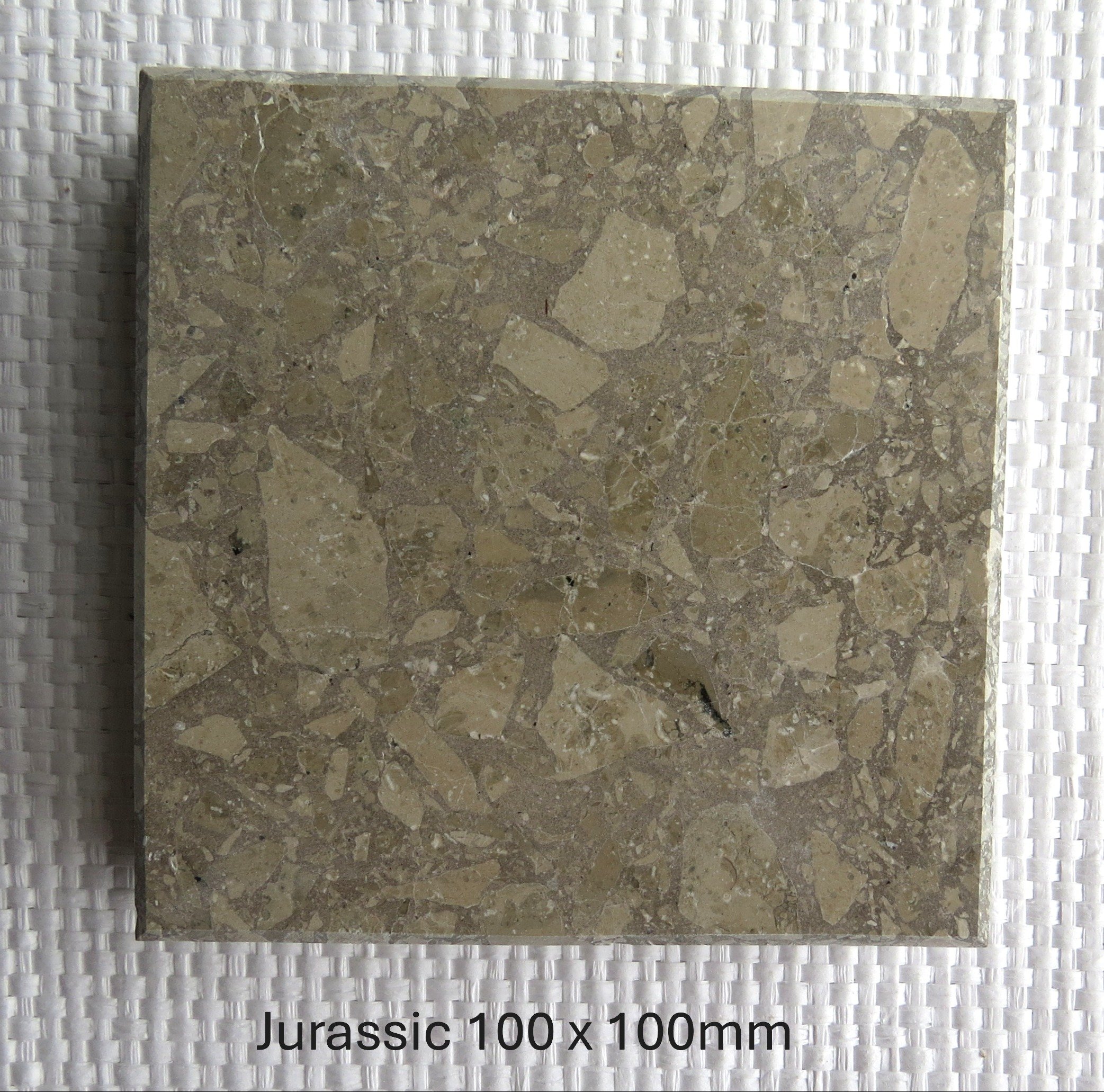 JURASSIC- There is a sense of time travelling that is implied, when I picture that Dinosaurs could have stood on the stone that is used in this terrazzo. Recycled Jura in a stone coloured cement background. 