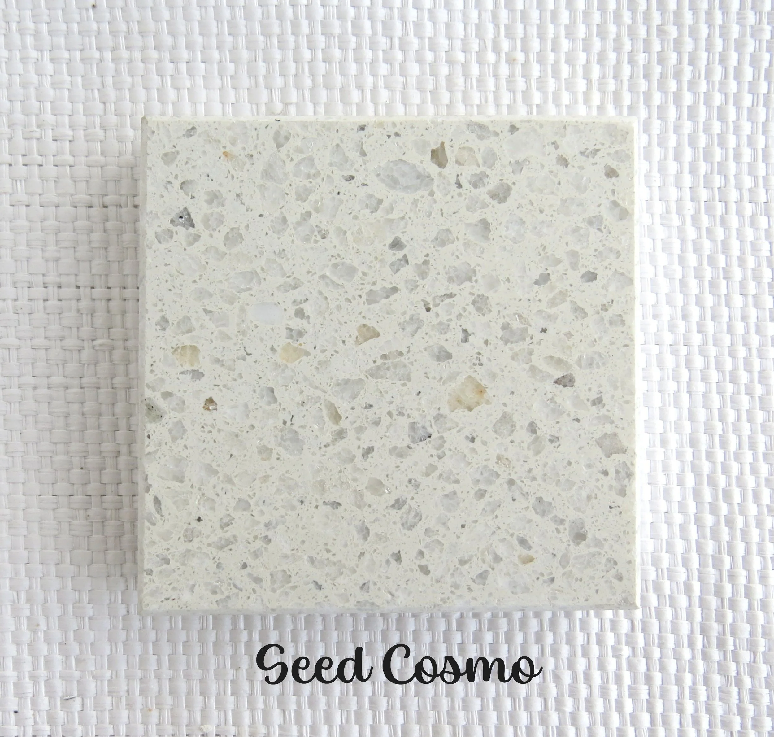 SEED COSMO Tile- Whole galaxies started off  as seeds from fluctuations in space time energy. From small beginnings, wondrous things can be made. NZ white marble from the South Island in a white base.