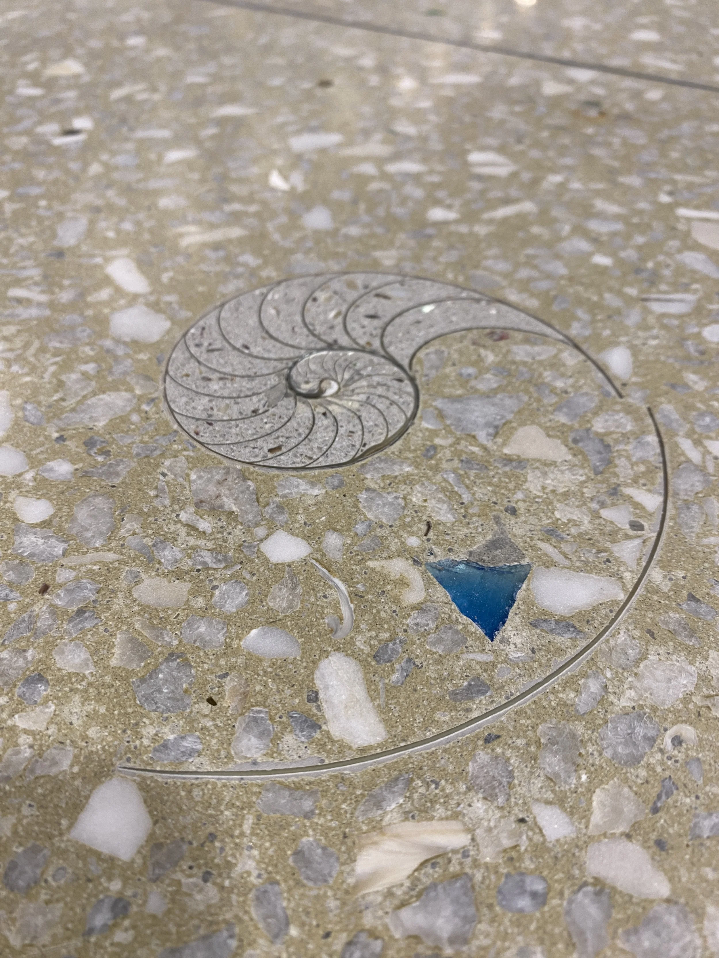 Britomart train station closeup terrazzo shell detail