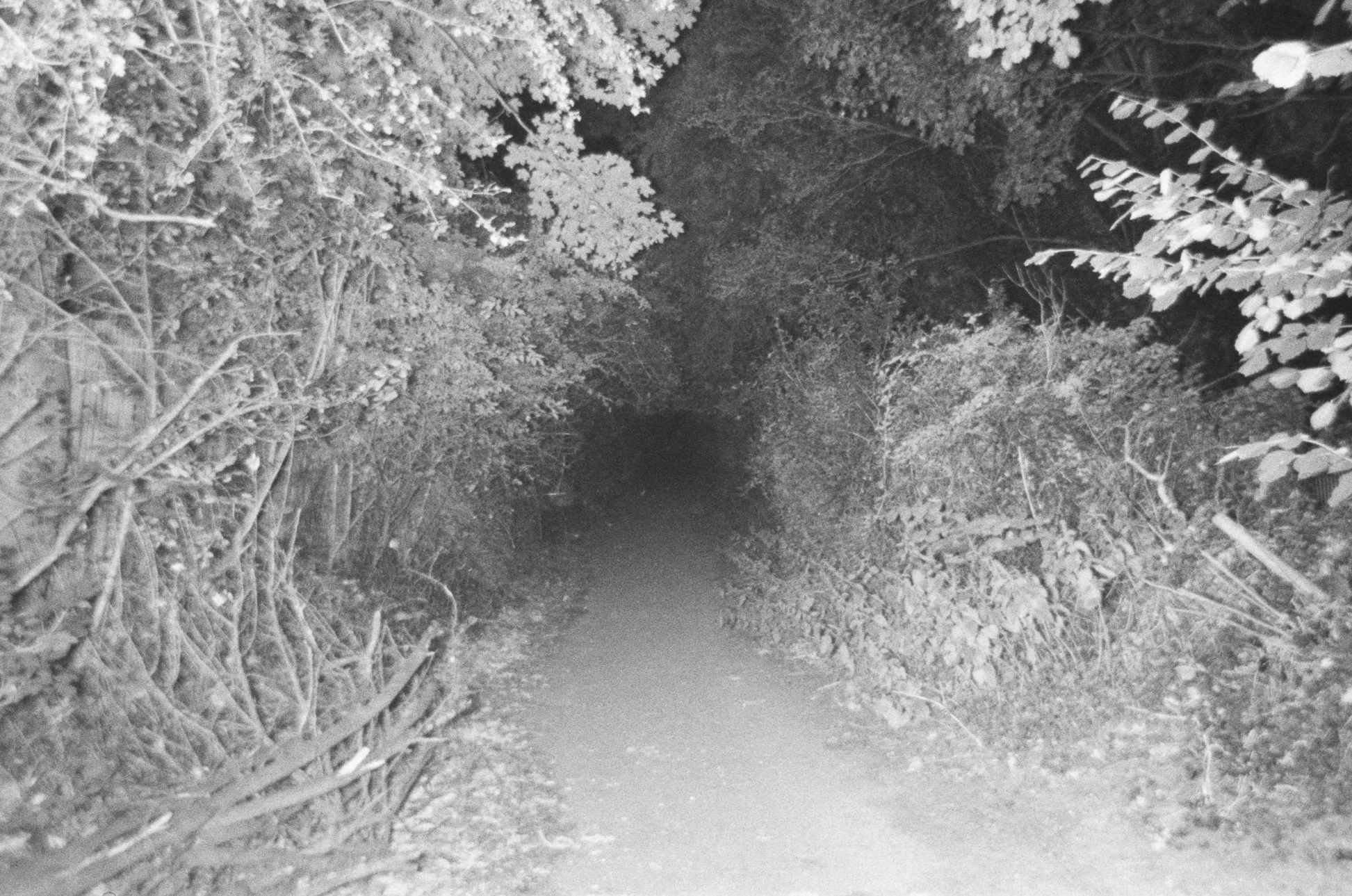 Elm Farm