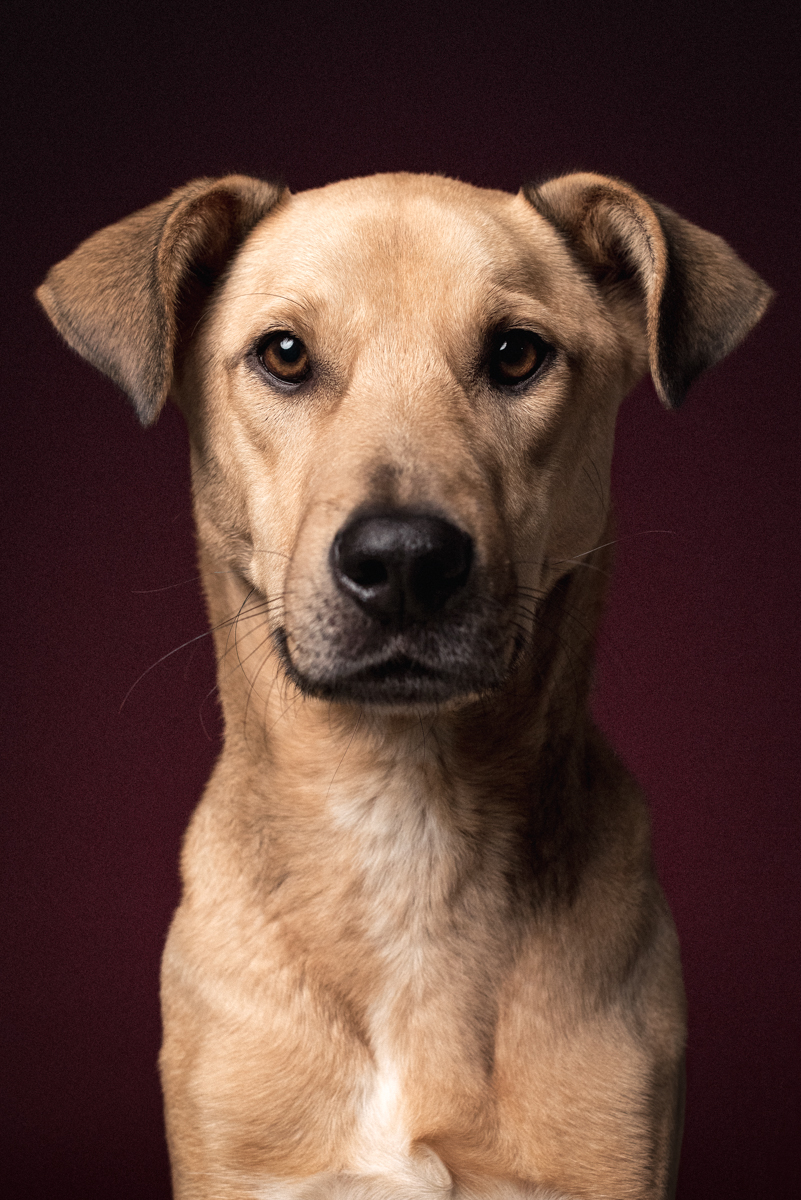 Ludo01_Alex_Wallace_Photography_109.jpg