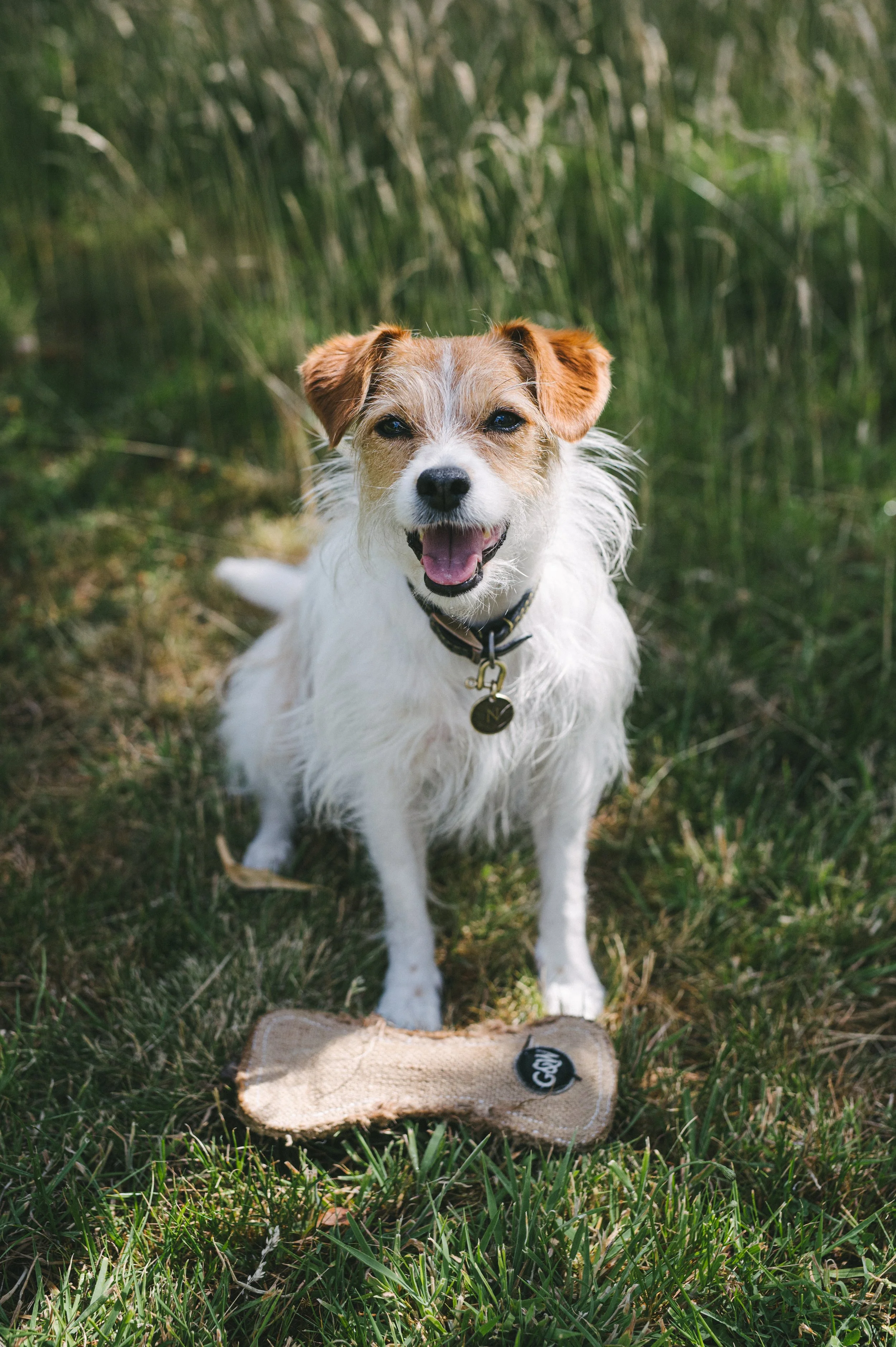The importance of play