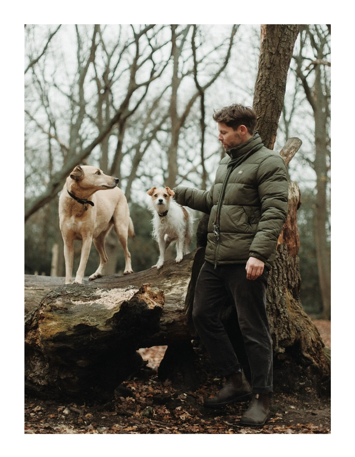 👋🏼 Lots of new connections here so thought it&rsquo;s about time I put a face to a name. I&rsquo;m Alex, surprisingly, and I&rsquo;m a dog behaviourist and photographer @thedogsbyalex. Ludo&rsquo;s the big one, Norah the small one! 

✍️ Easiest thi