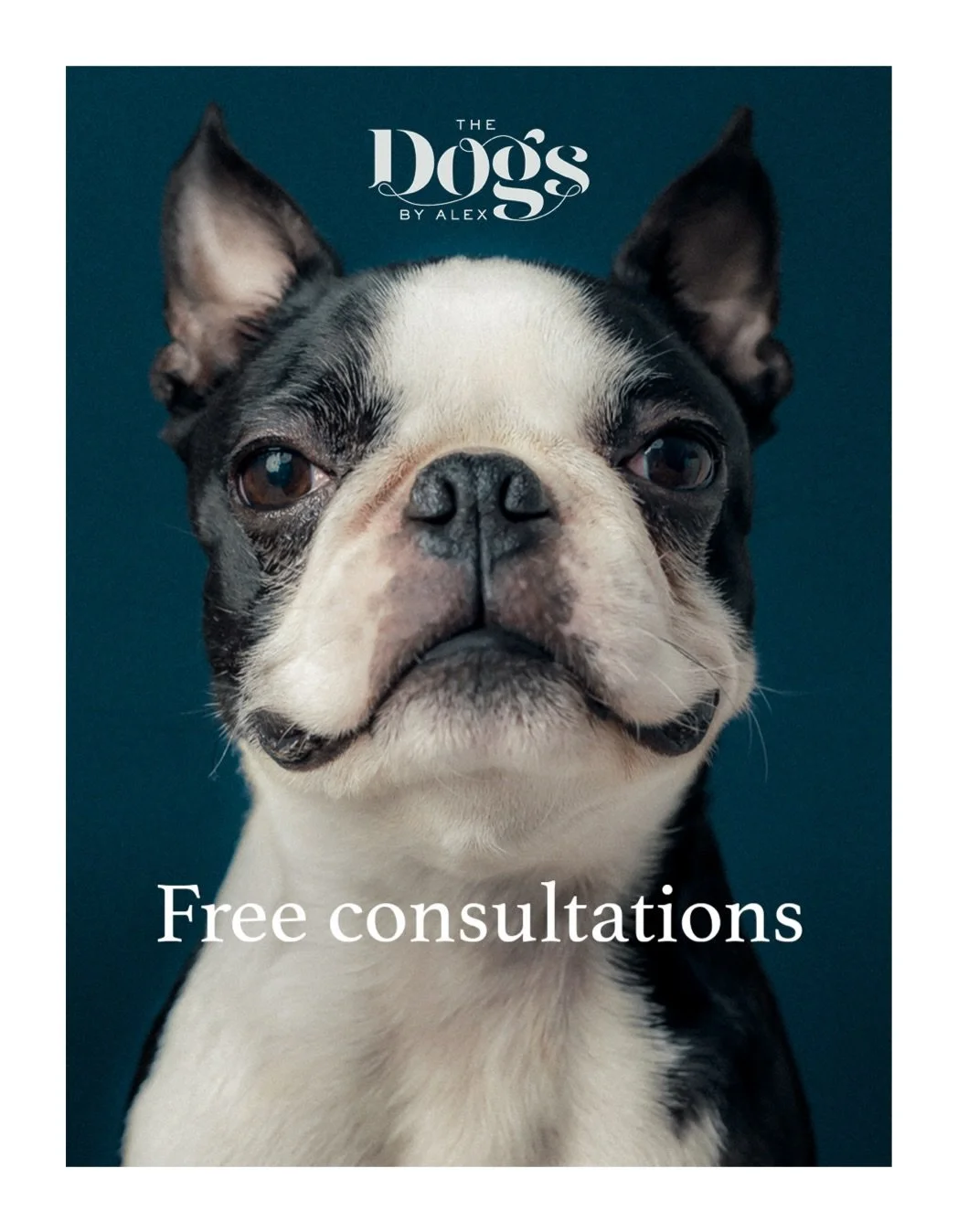If you&rsquo;re struggling with your dog&rsquo;s behaviour I want to help you. I offer free initial consultations to understand what challenges you&rsquo;re facing and how we could work together. No judgement or obligation, just understanding and com