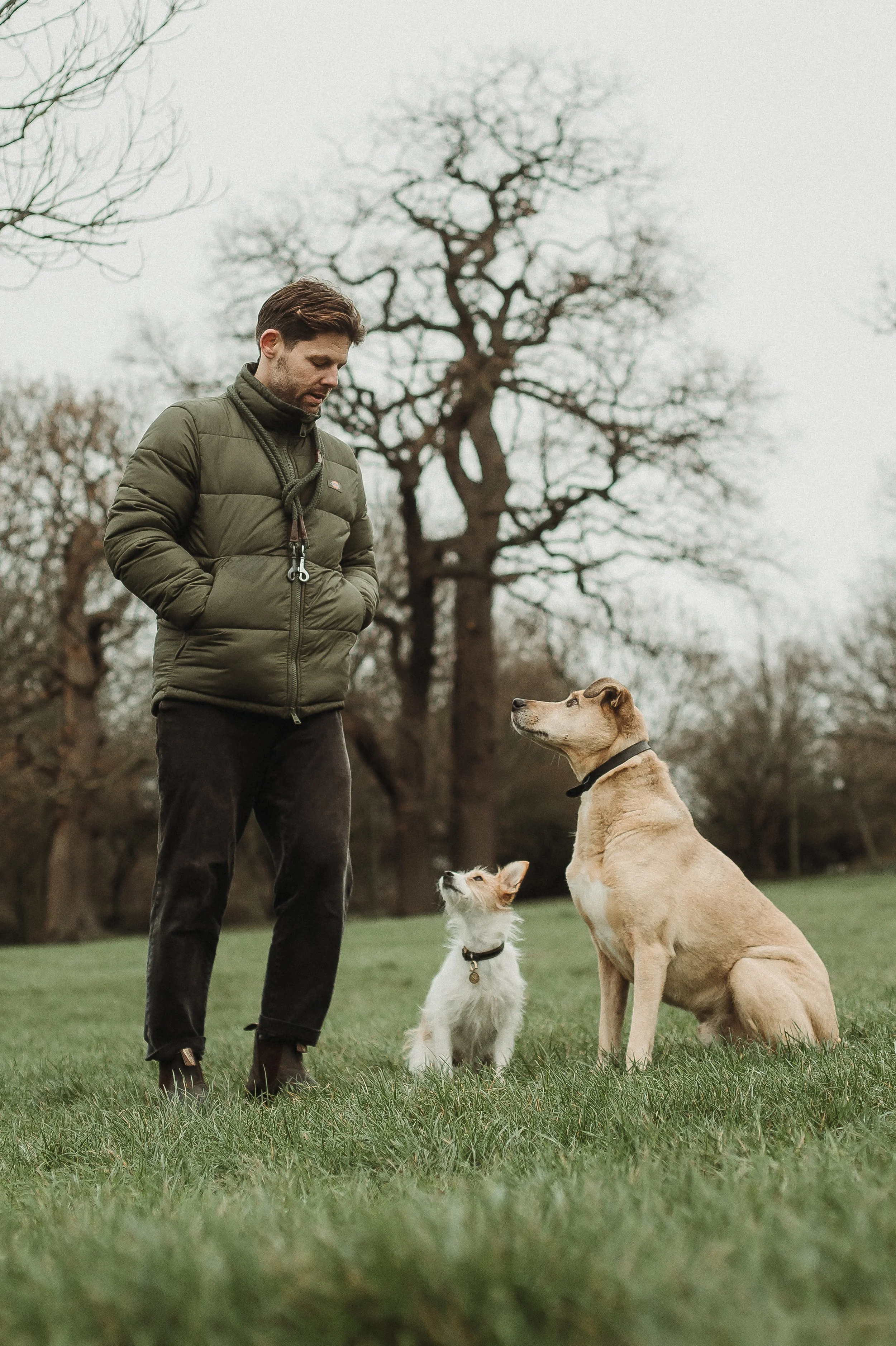 Why dog training is not one-size-fits-all…