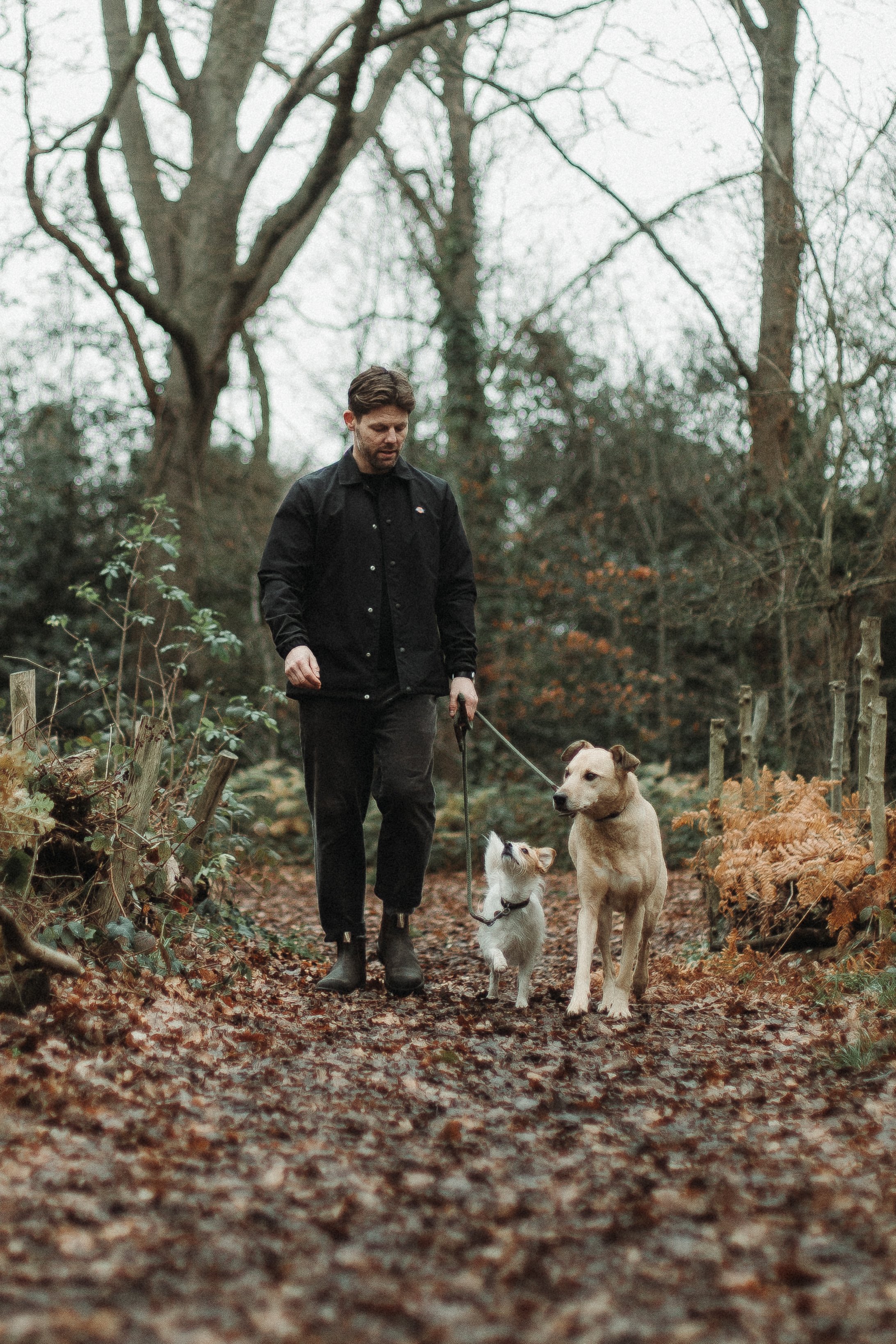 Dog trainer in south London