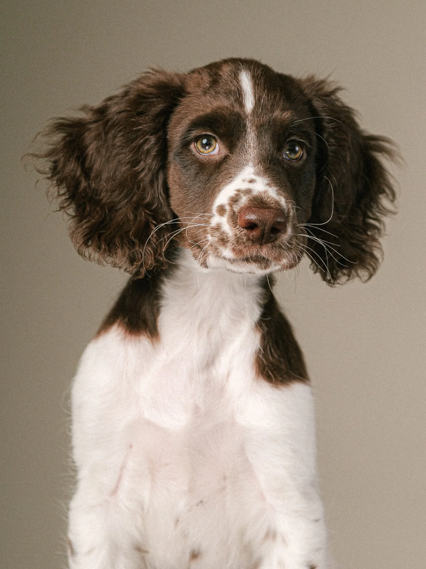 I&rsquo;m pleased to announce that my puppy classes are now open for booking, starting 28th March, for wee ones like Charlie! Know anyone welcoming a puppy into their life? Tag them!

I&rsquo;ve focused my courses on building confidence, calm behavio
