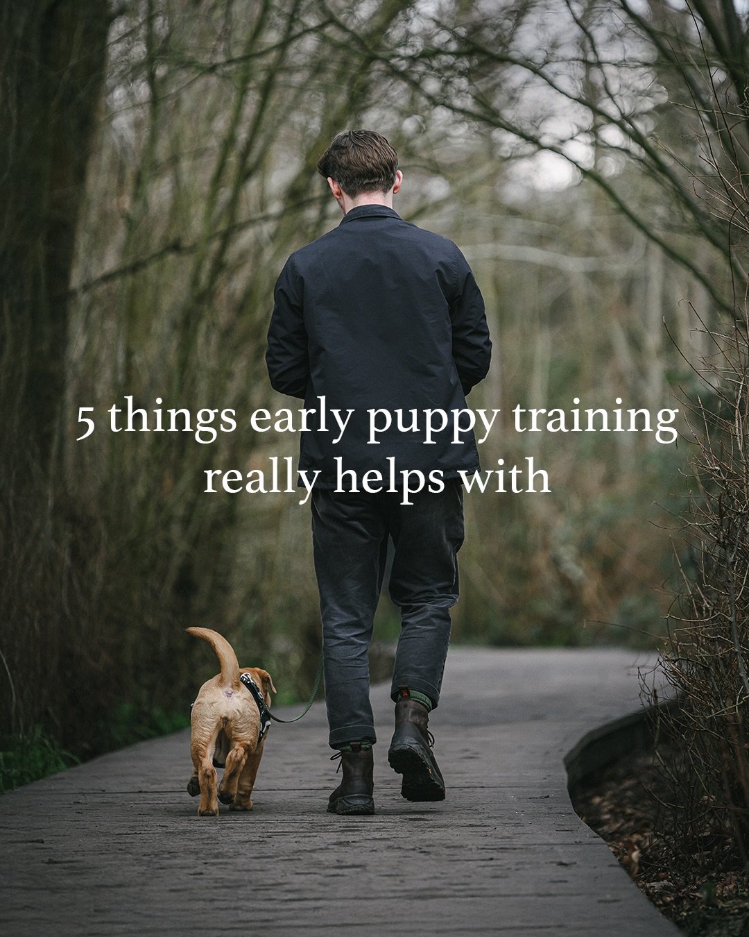 I&rsquo;ve set up my puppy classes to go well beyond basic obedience. Obedience has it&rsquo;s place, no doubt, but &lsquo;sit&rsquo; and &lsquo;paw&rsquo; have little weight when it comes to bringing up a well-rounded dog that&rsquo;s calm, confiden
