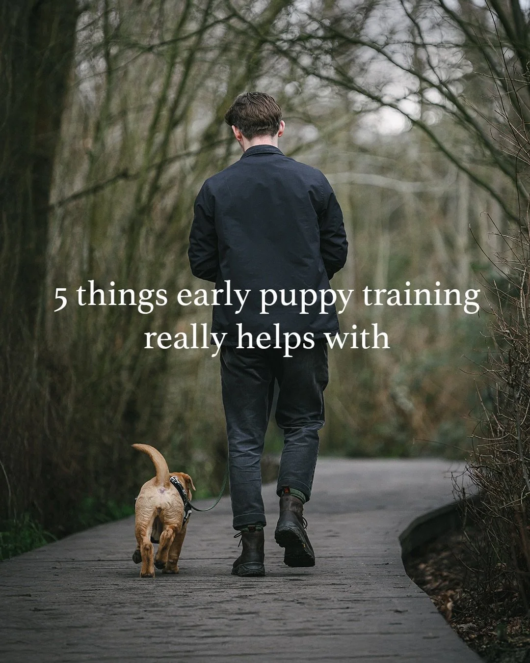 I&rsquo;ve set up my puppy classes to go well beyond basic obedience. Obedience has it&rsquo;s place, no doubt, but &lsquo;sit&rsquo; and &lsquo;paw&rsquo; have little weight when it comes to bringing up a well-rounded dog that&rsquo;s calm, confiden