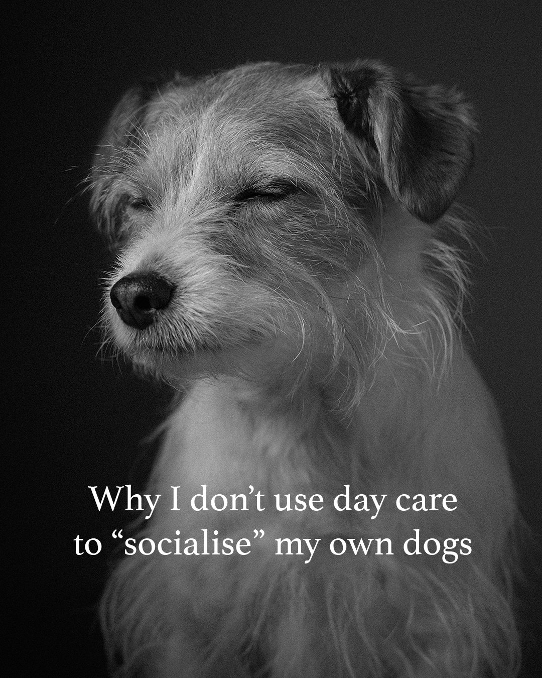 As a trainer, I stopped sending my dogs to day care. Not because it&rsquo;s 'bad' per se, but because for many dogs, especially those that are sensitive or easily overstimulated, full-day group environments can be too much. Large groups, constant int