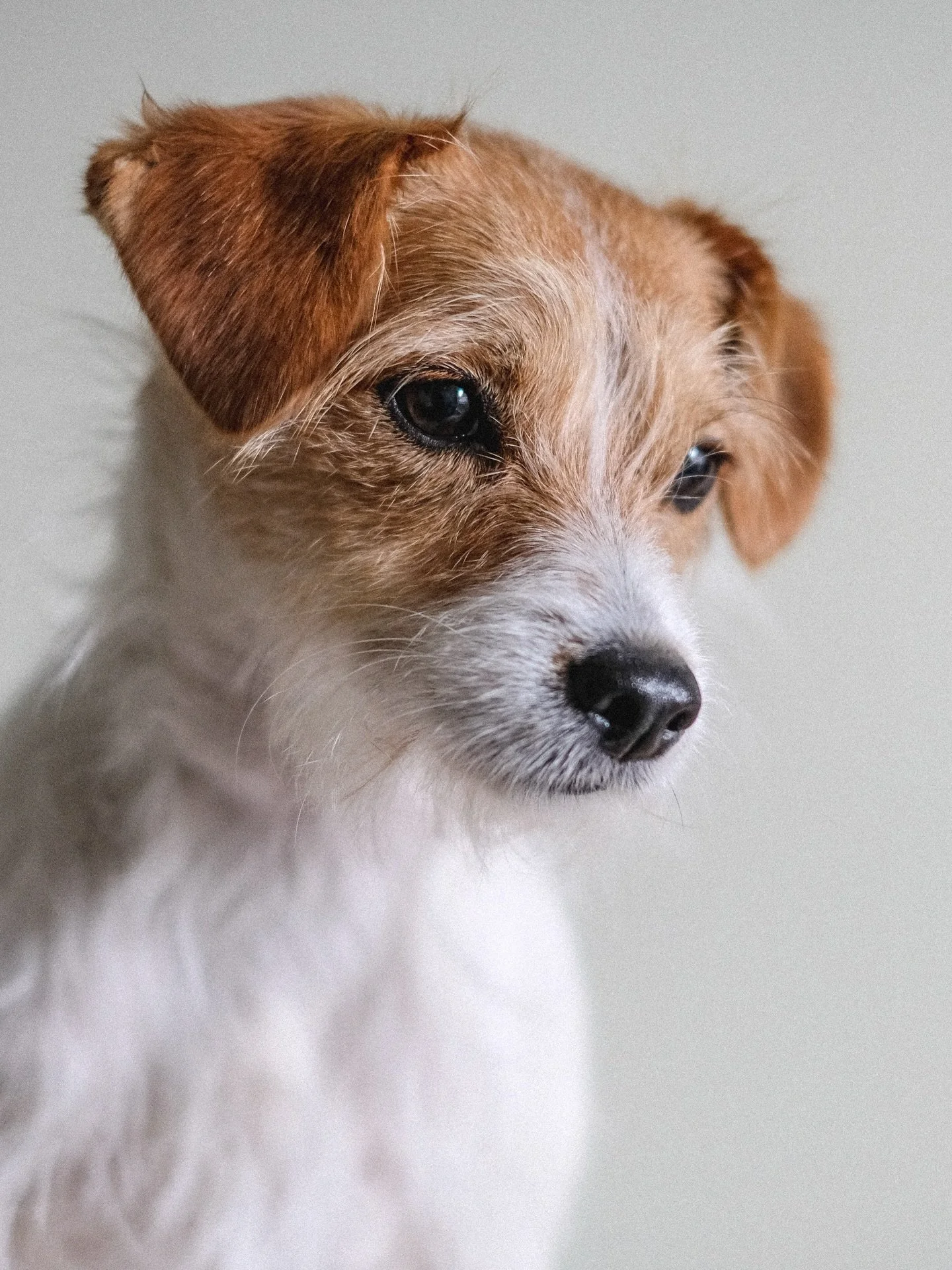 Three years since Norah arrived. Classic thought isn&rsquo;t it but I can&rsquo;t quite believe that! Inevitably I have far too many photos to bombard people with, but I&rsquo;m glad I have too many to choose from. We&rsquo;ve done a LOT in three yea