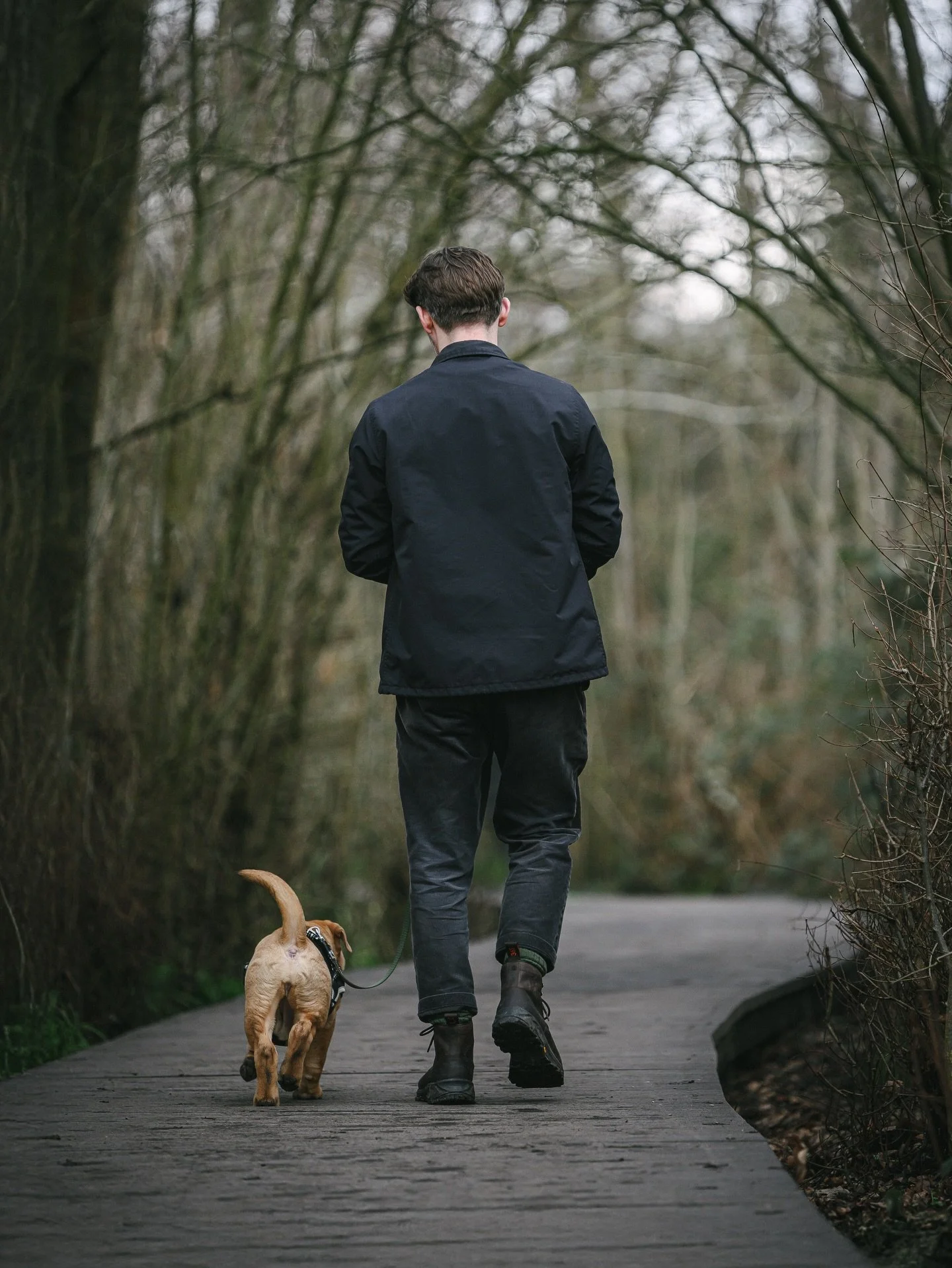 New puppy? Live in south London? My next puppy course starts 23rd May. 6 spaces, 6 weeks. 

These puppy classes are all geared towards your puppy, and you, feeling calm and confident to tackle everyday situations. Getting a puppy to sit is, quite fra