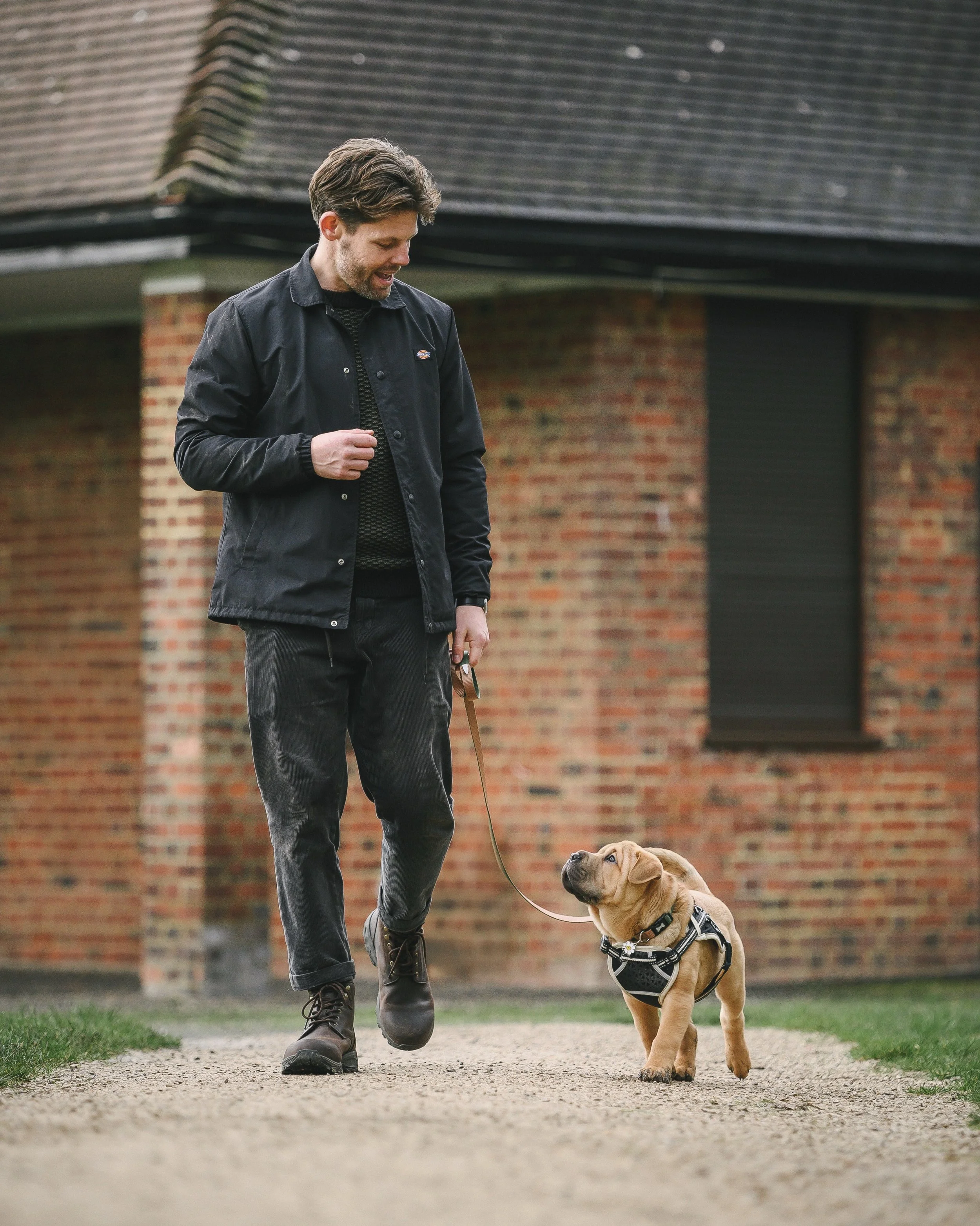 New puppy course starts 5th September!

My 6-week puppy course is about so much more than teaching &ldquo;sit&rdquo; and &ldquo;stay&rdquo;. It&rsquo;s structured to ensure your puppy grows into a calm, confident dog who can thrive in the world aroun
