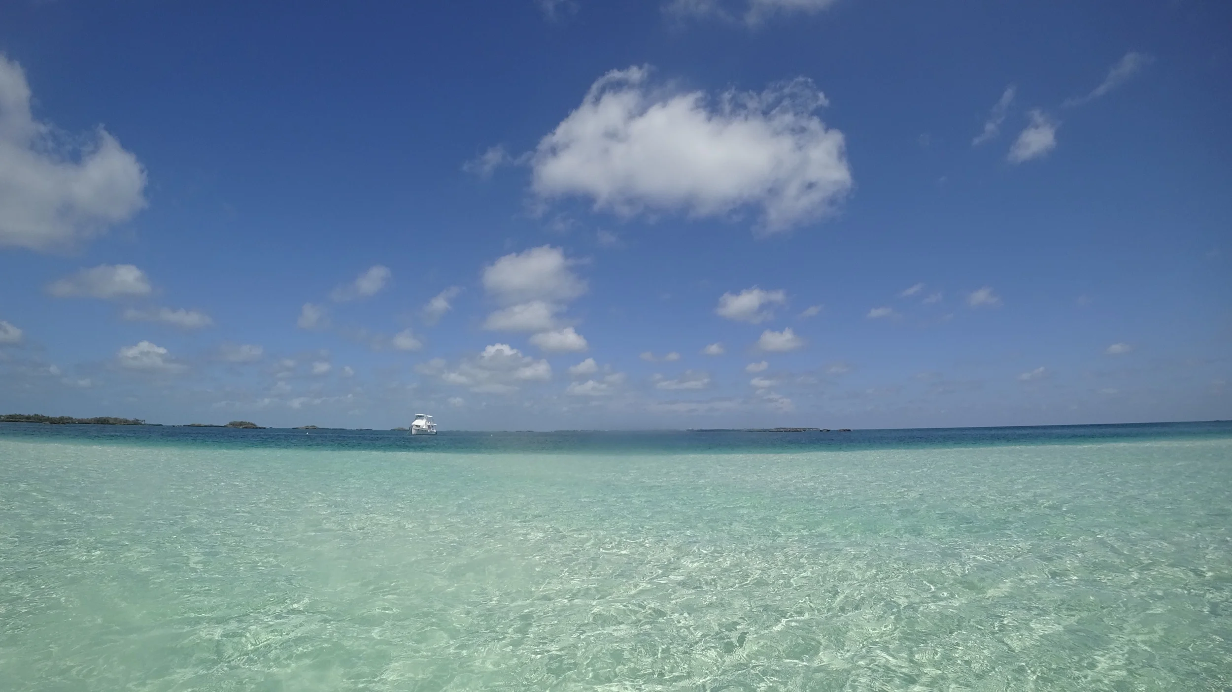 Allen’s Cay  Double / Breasted Cay