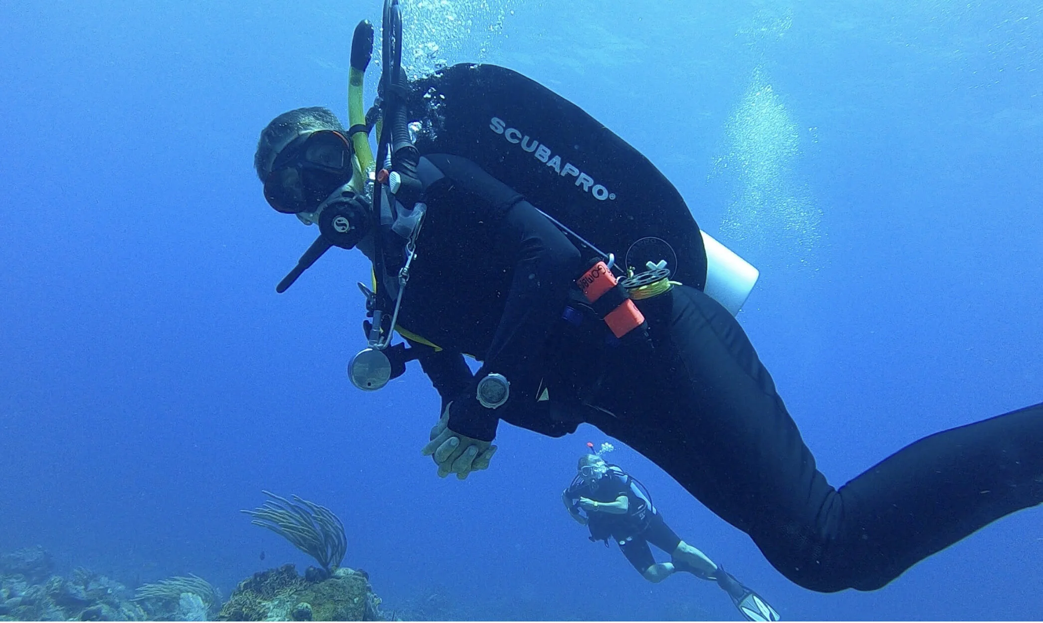 Dive Day May 3rd                  Little St. James.      Frenchman’s Cap