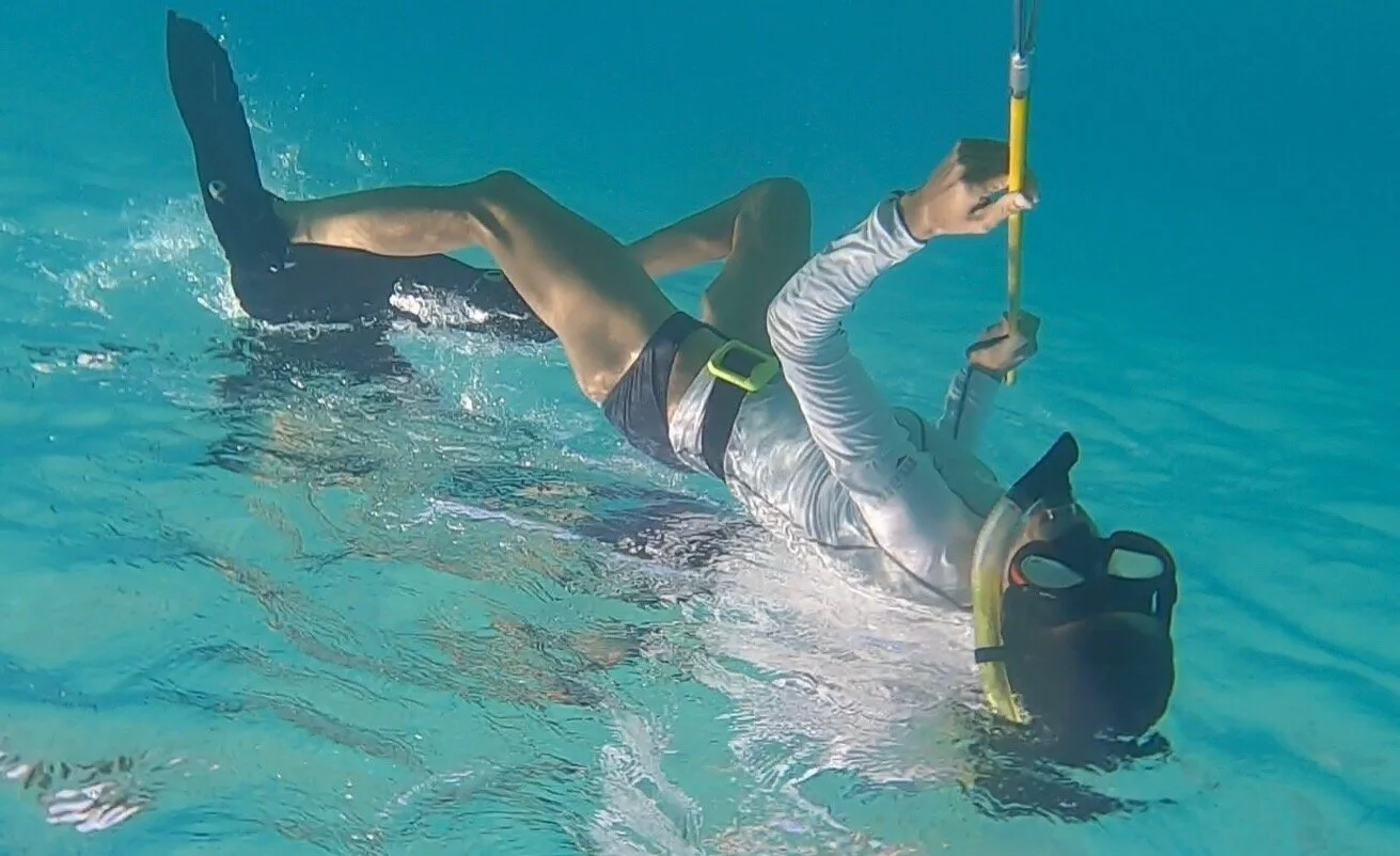 Lion fish everywhere!