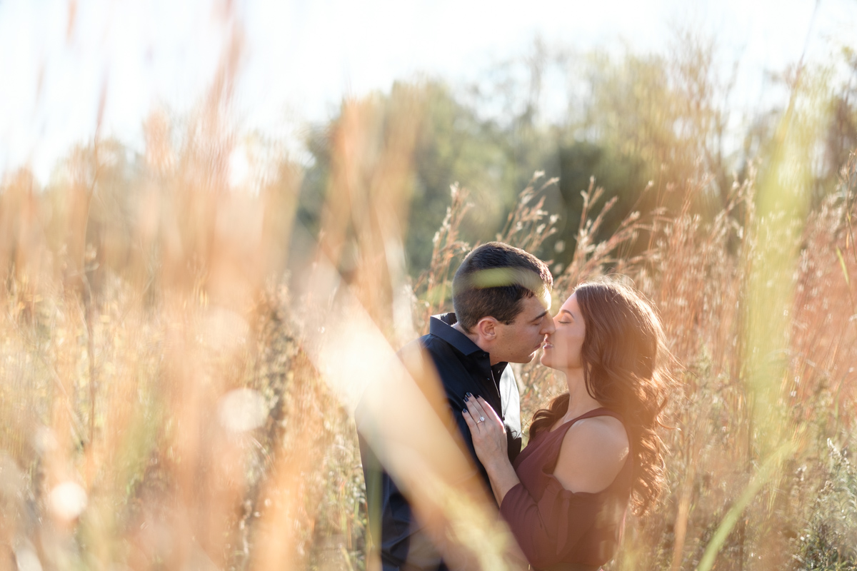 couple kissing in engagement portrait. photo shot through tall wild grass in rock cut state park in Rockford Illinois