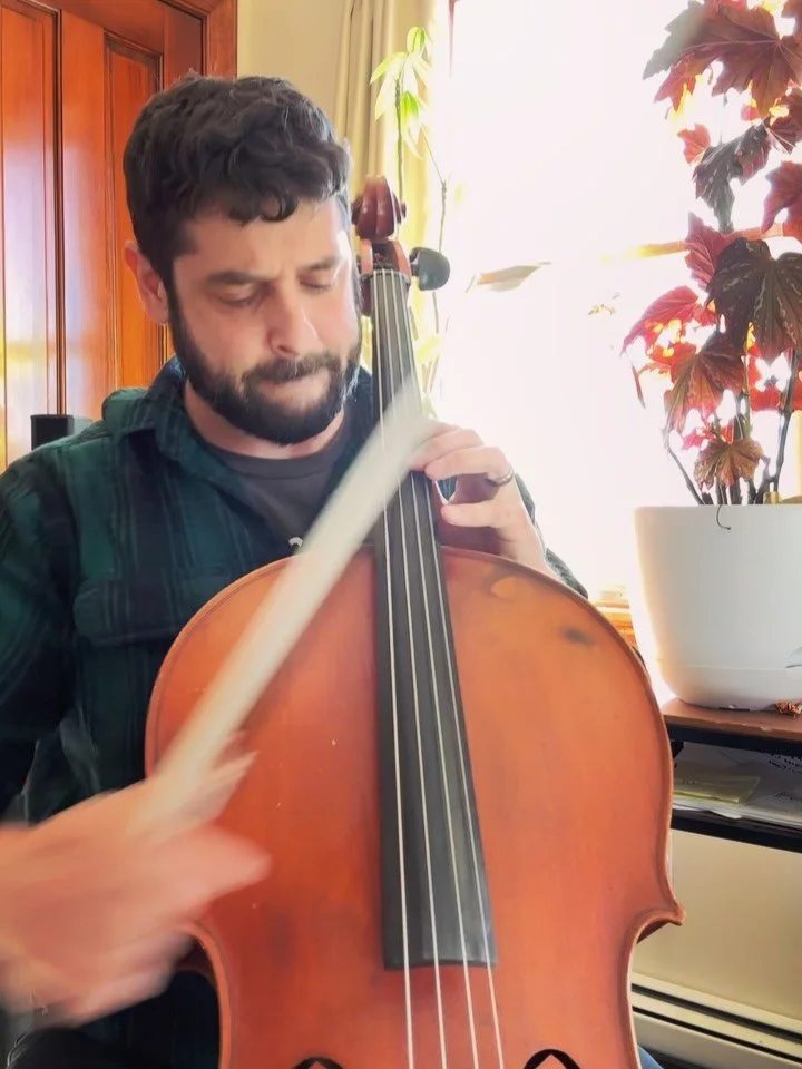 Same song, very different vibe. Which do you prefer? 

#dualipa #levitating #cello #cellocover #dankassel