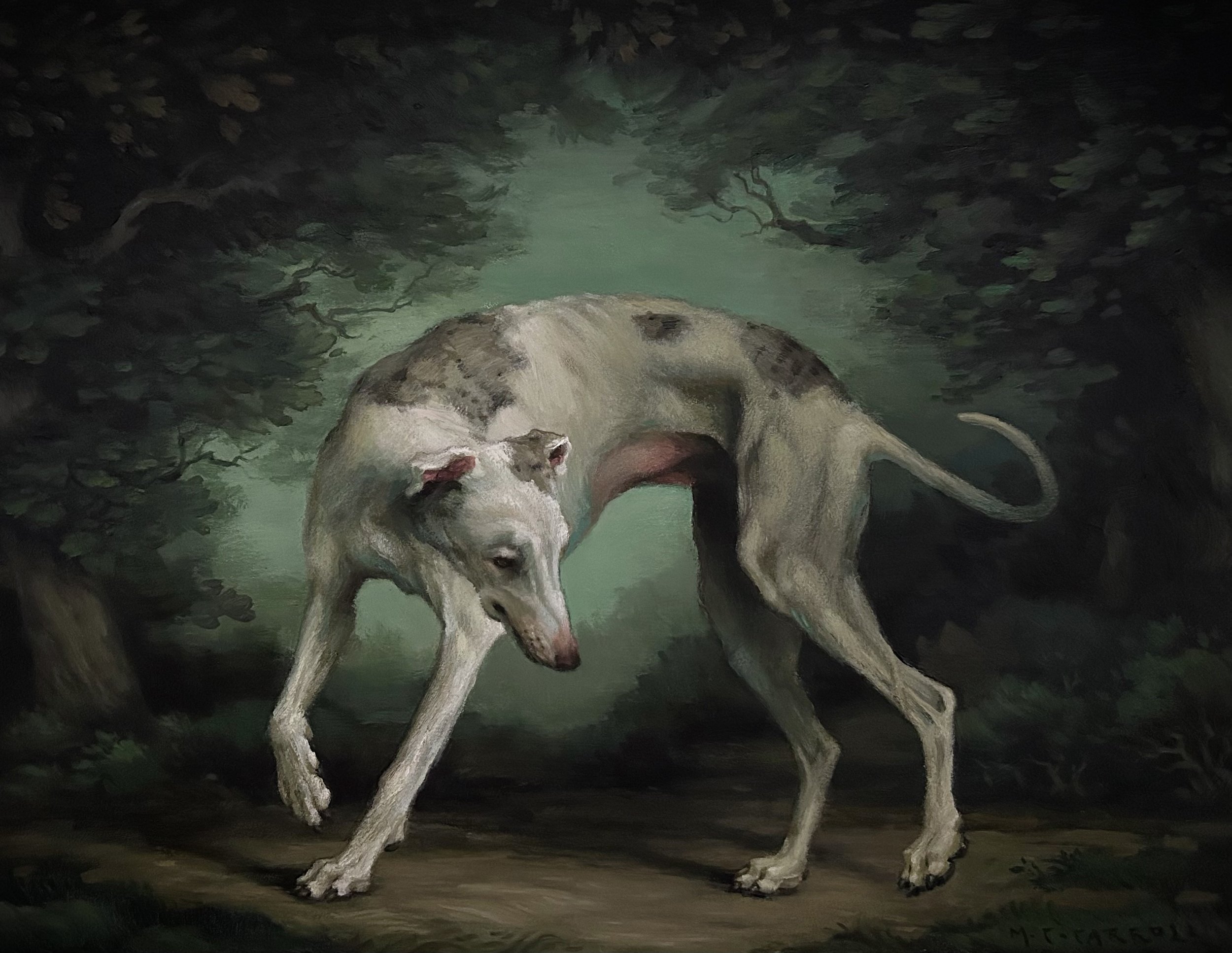 The Dog and Its Shadow