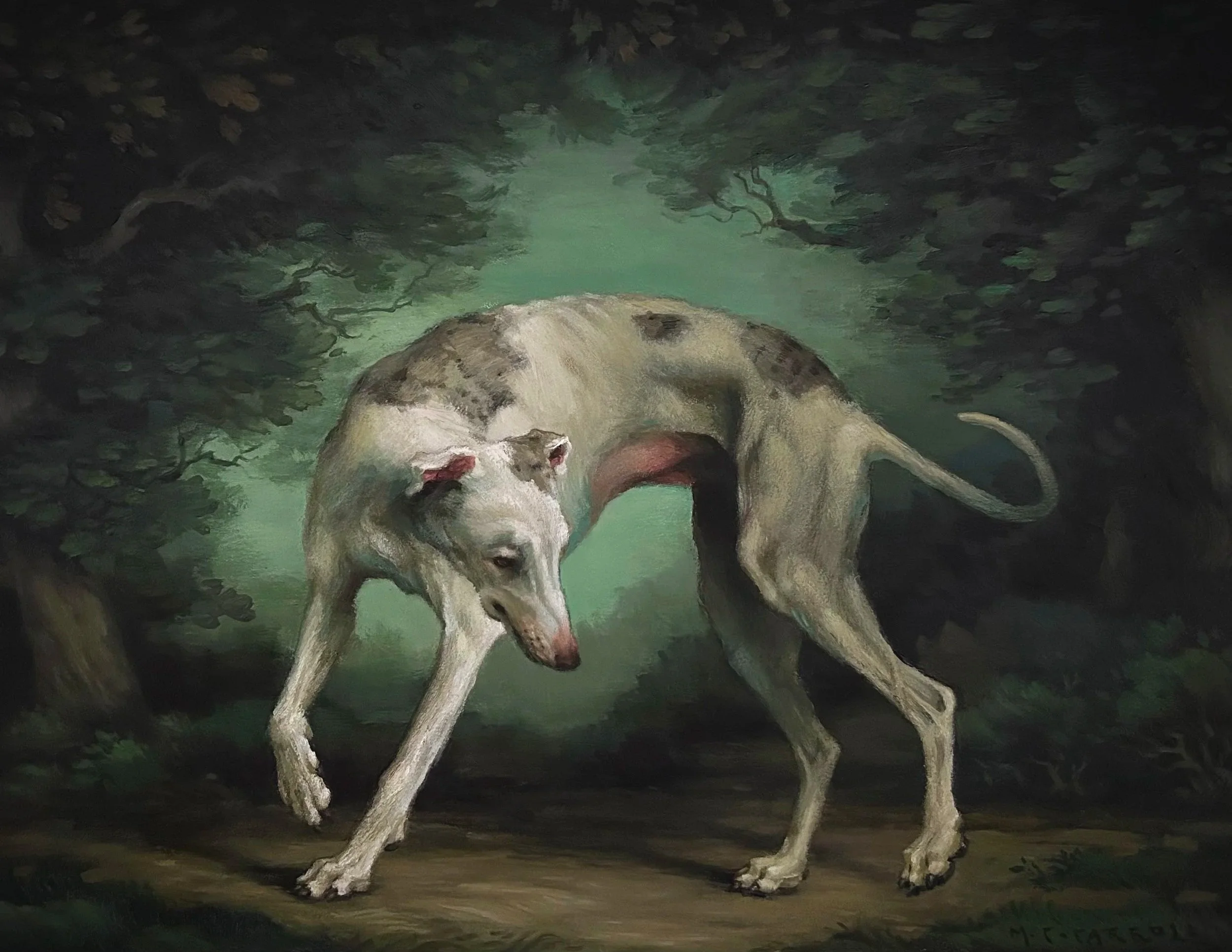 The Dog and Its Shadow