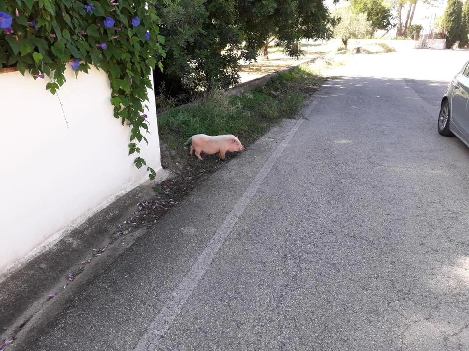 Denia 13.jpg