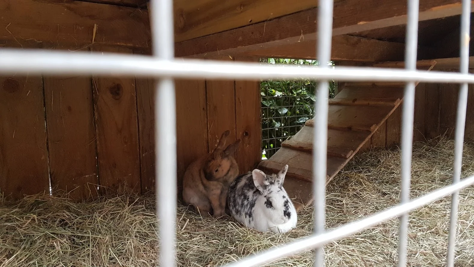 Wed Club Run to Wheelock