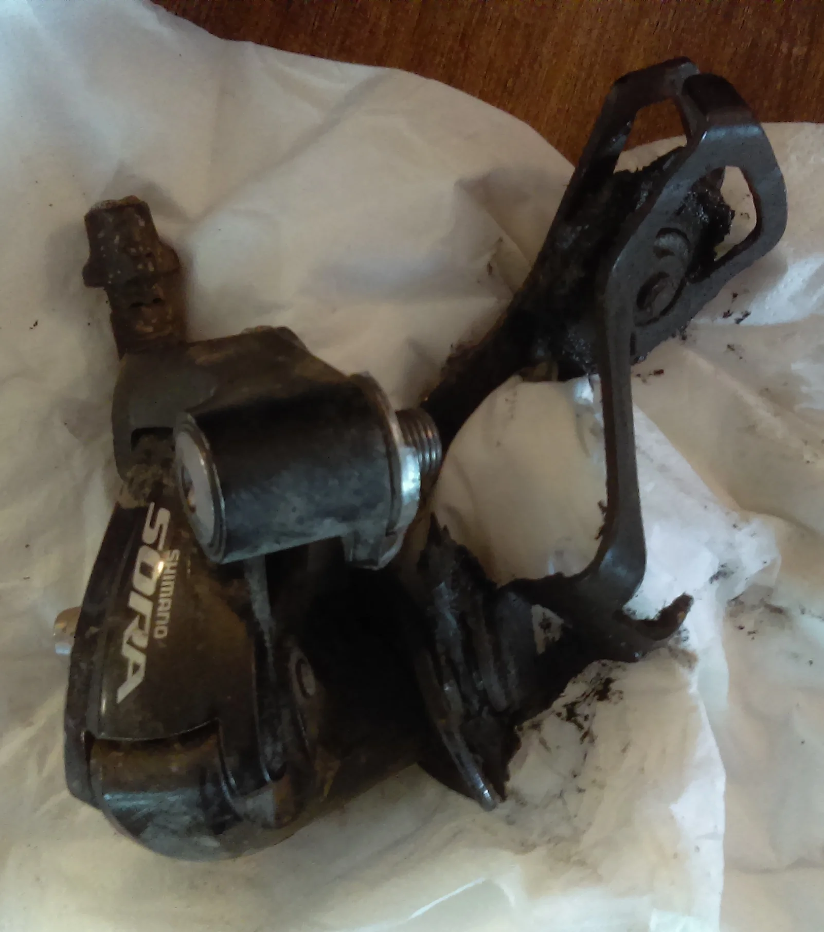 Rear mech versus Circuit of the Edge, rear mech lost!