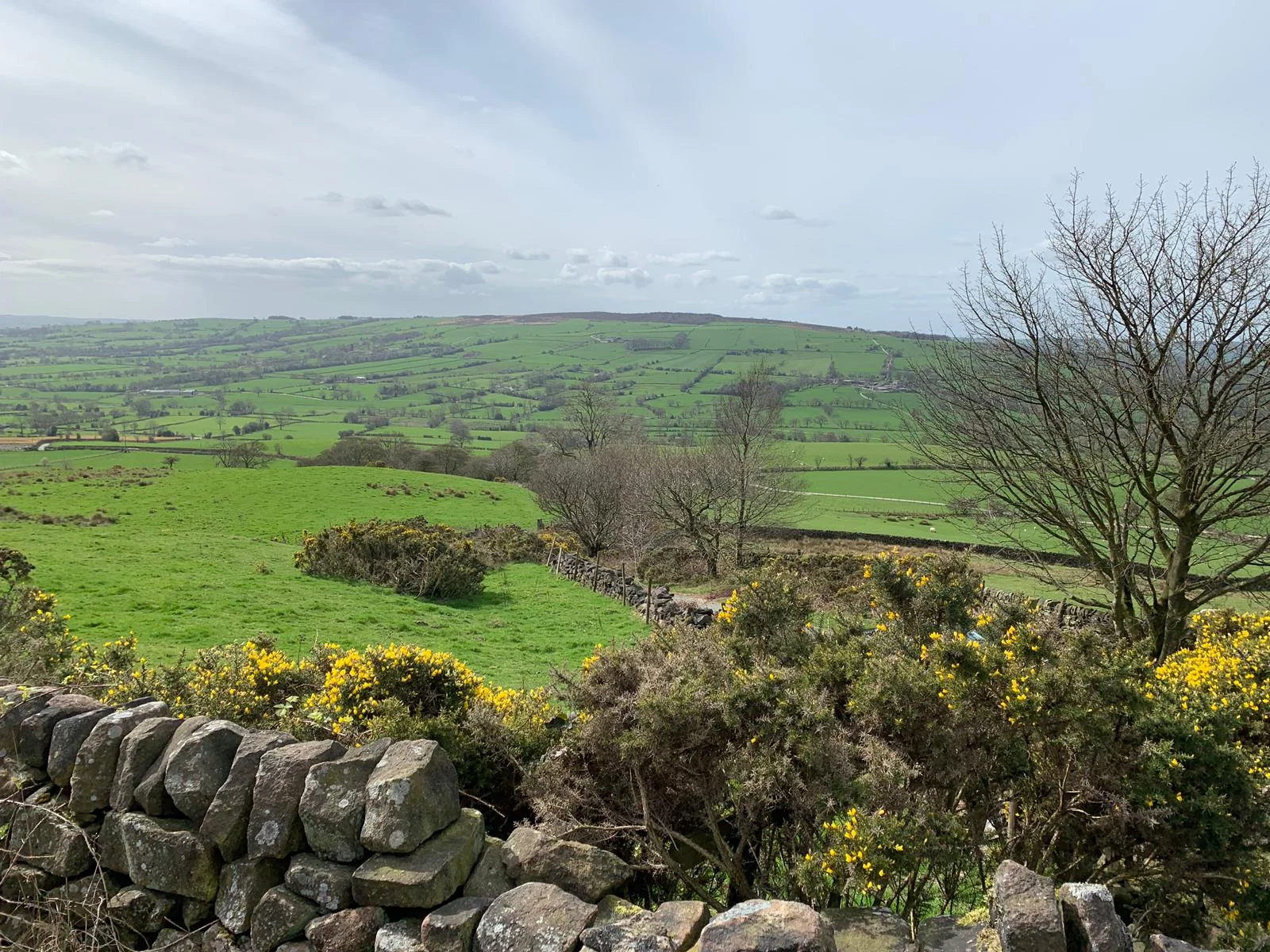 How lucky we are to live near such beautiful countryside.