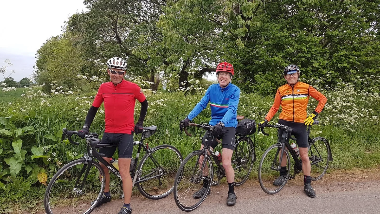 Moray, Raph, Dave
