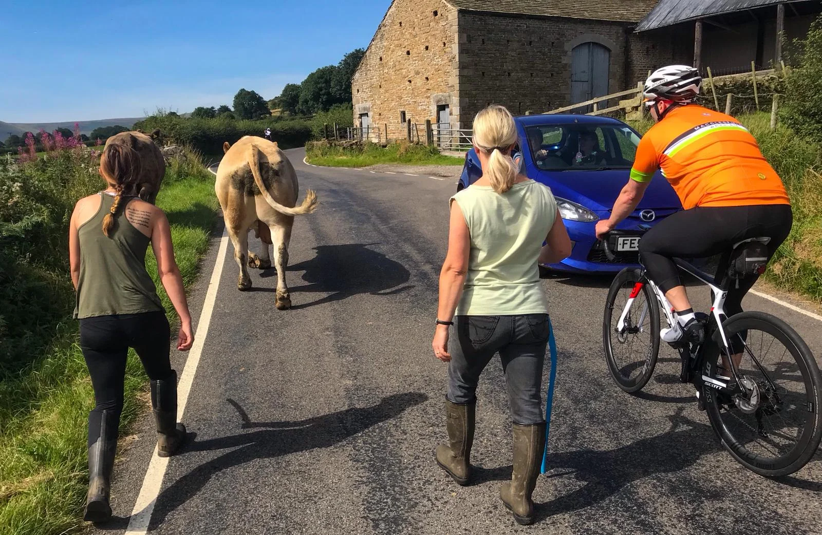 Having grown up on a farm, Simon was the first to run with the bulls between Hope and Edale, which had thankfully slowed our Bennet-led cafe sprint.