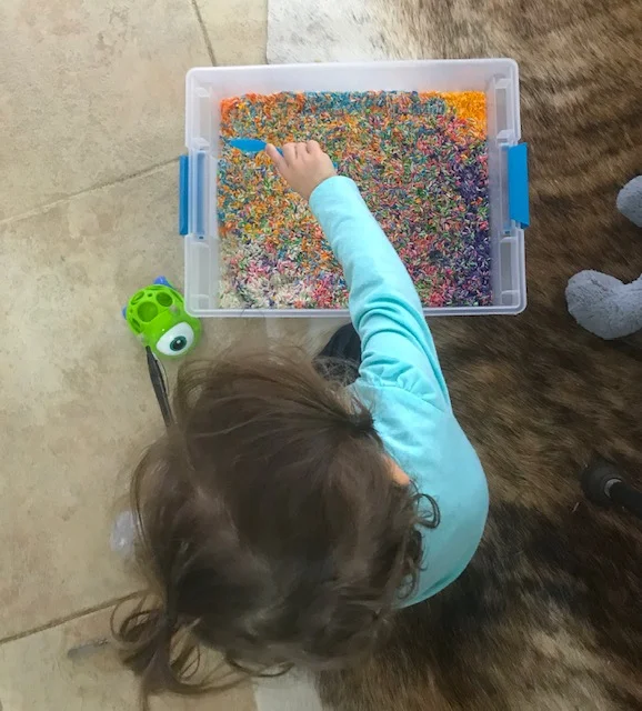 DIY Rainbow Rice for Toddlers