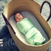 ollie swaddle newborn