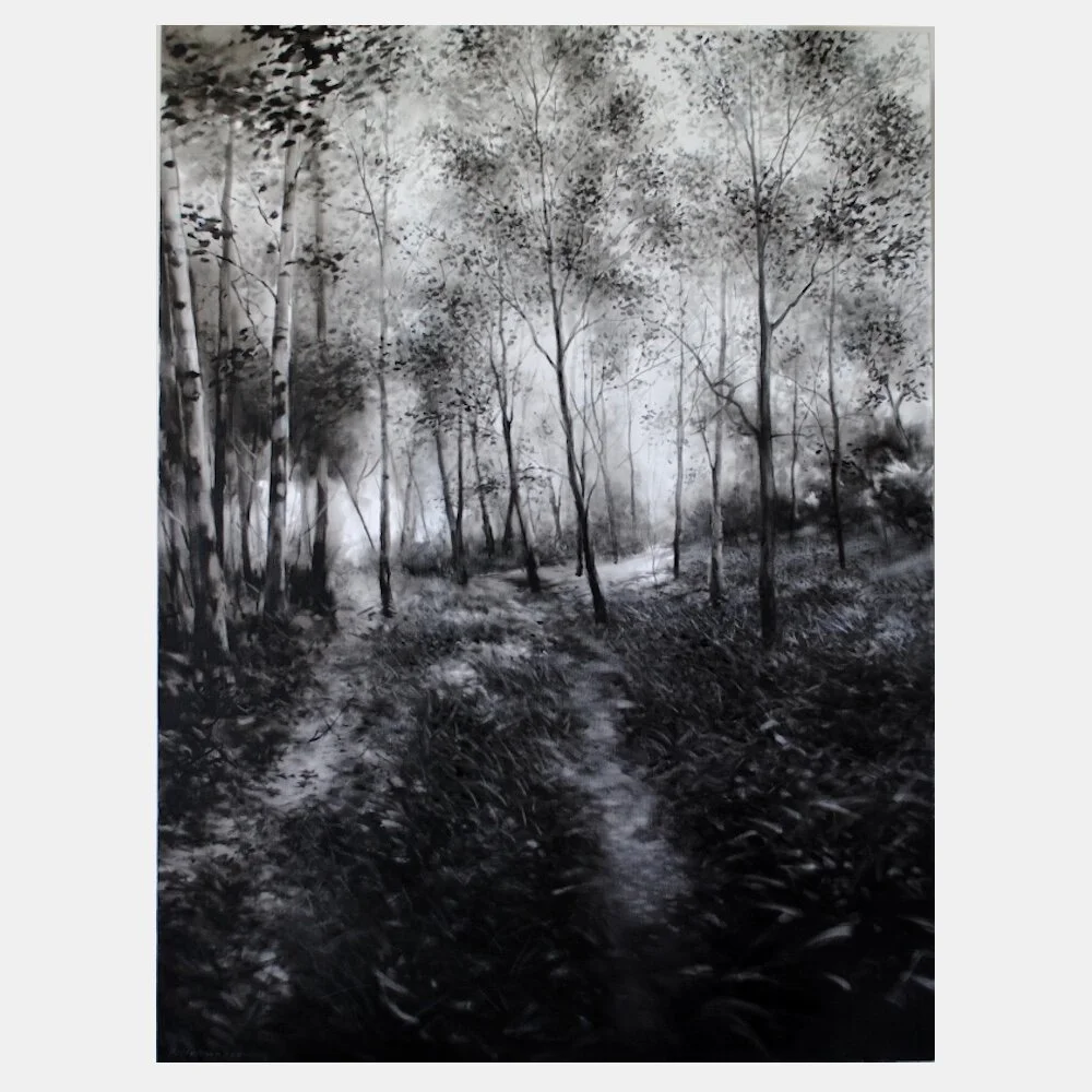 a walk through blean woods.jpg