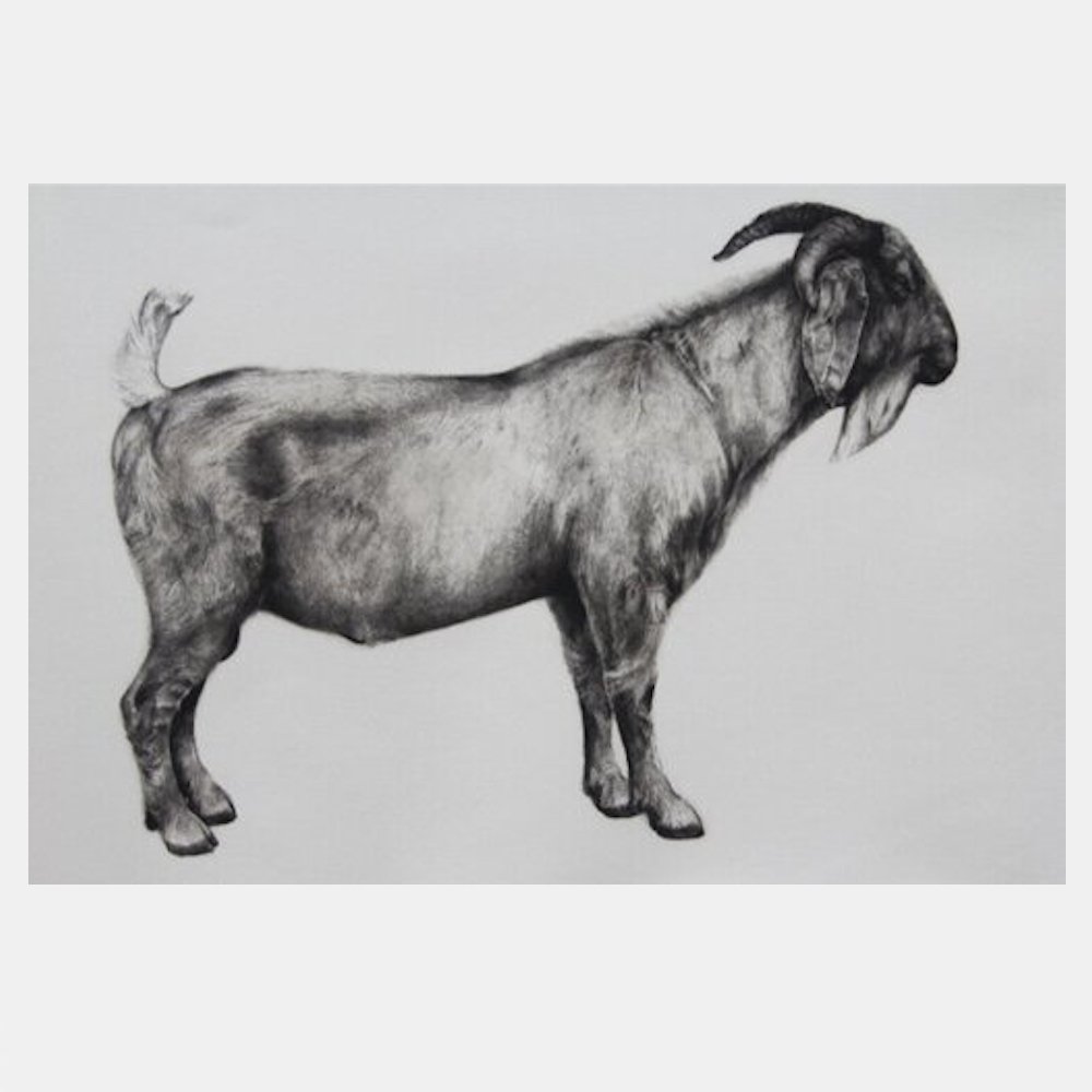 untitled the end.jpg