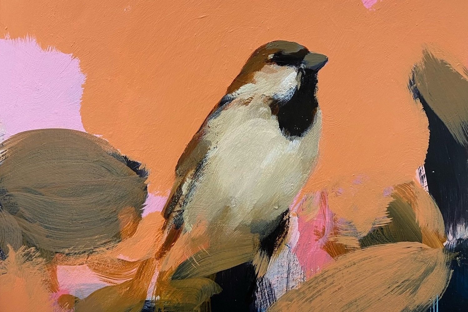 Heidi Langridge