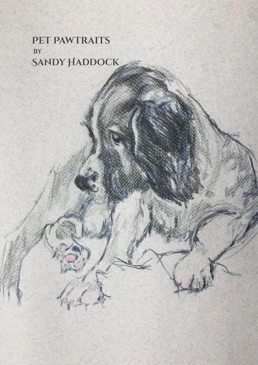 Pet Pawtraits with Sandy Haddock