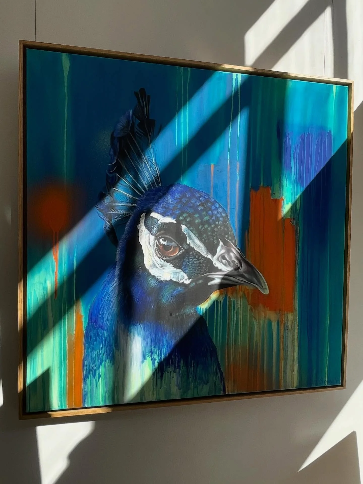 Today we are extremely excited to introduce a brand new artist coming to us here at Lilford Gallery - please welcome Carlie Curnow! 

Carlie Curnow&rsquo;s passion for wildlife and conservation has been a significant inspiration in her own work. Pass