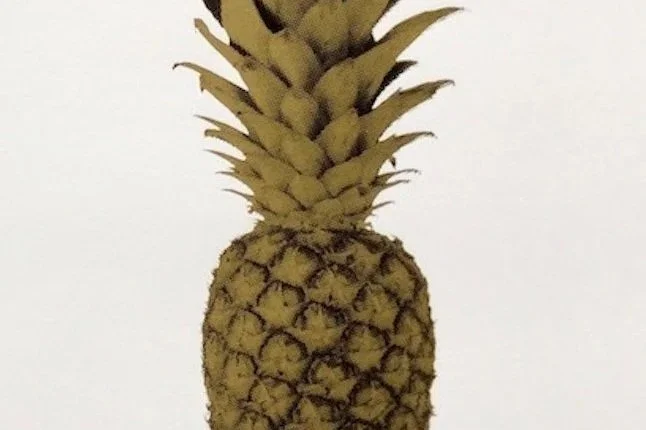 I Print Pineapples